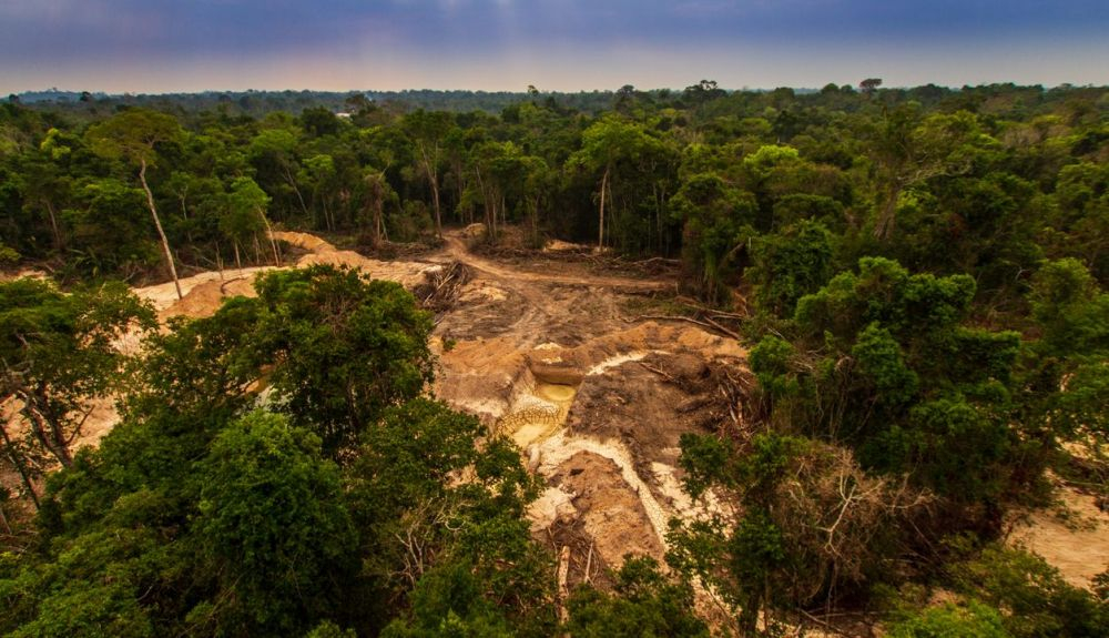 La minería ilegal causa deforestación y contaminación de los ríos en la selva amazónica