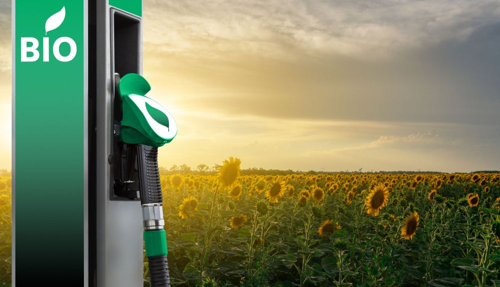 Biocombustibles y e-fuels Biocombustibles y e-fuels