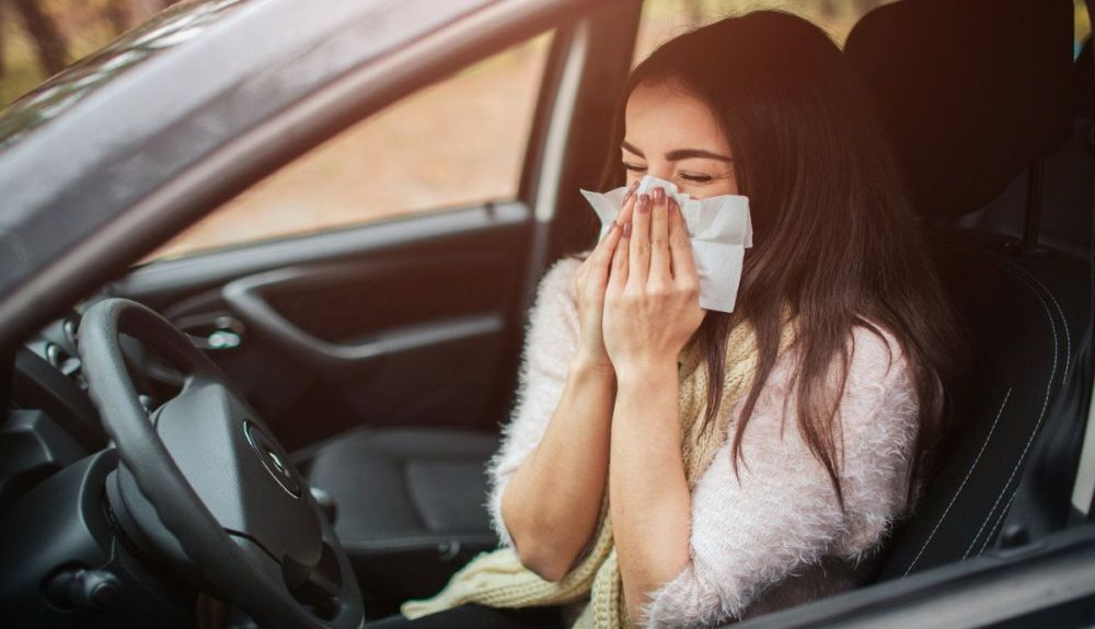 Llegan las alergias: qué hacer para que no te afecten en la conducción