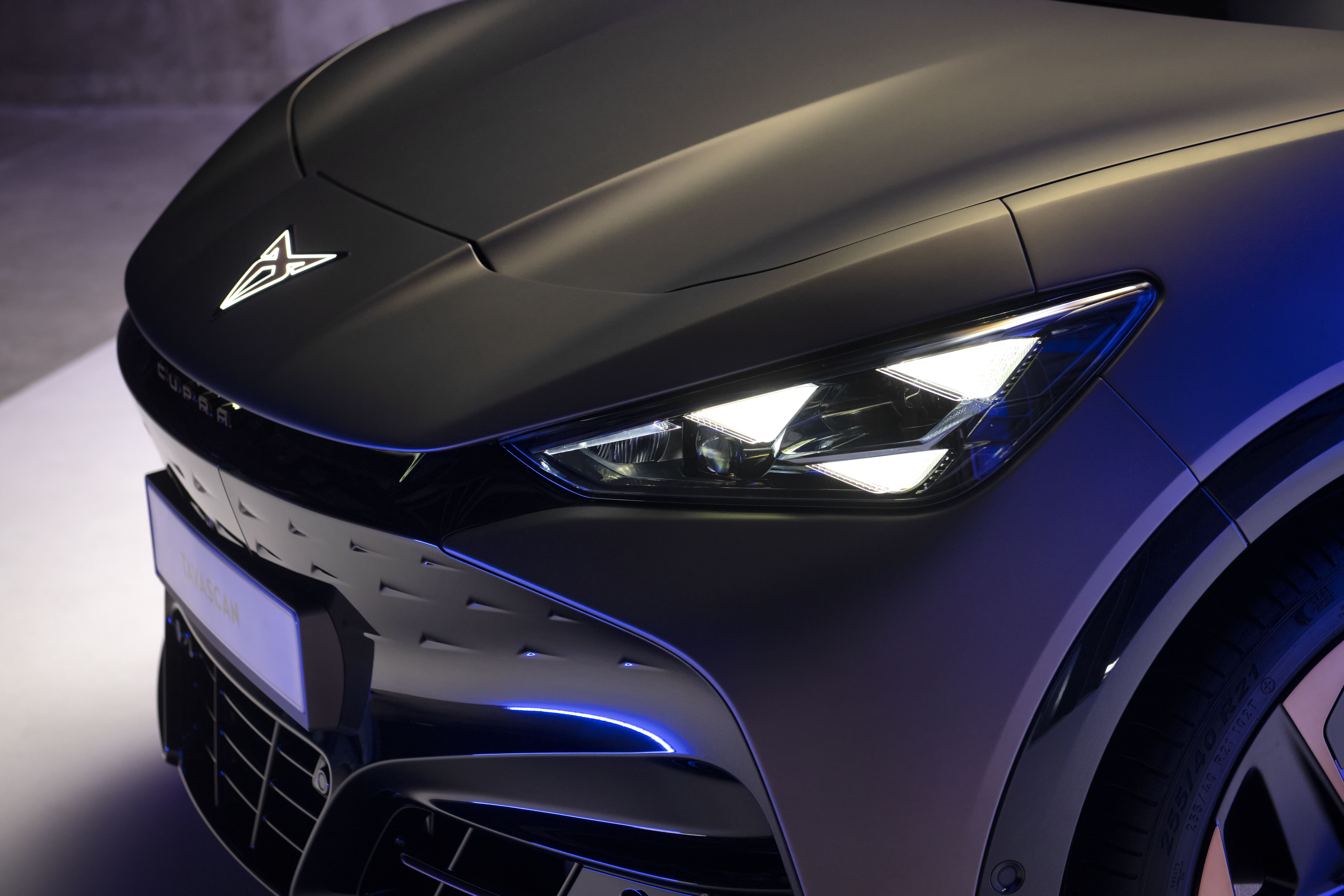 Cupra Tavascan 