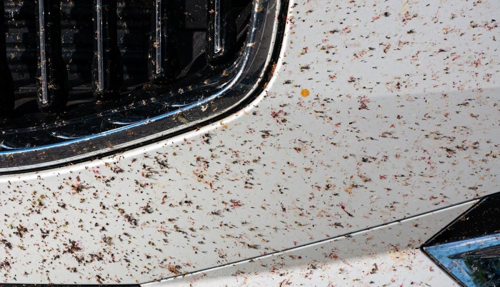 Las manchas de sangre y restos de insectos es una de las peores cosas cuando terminas un viaje
