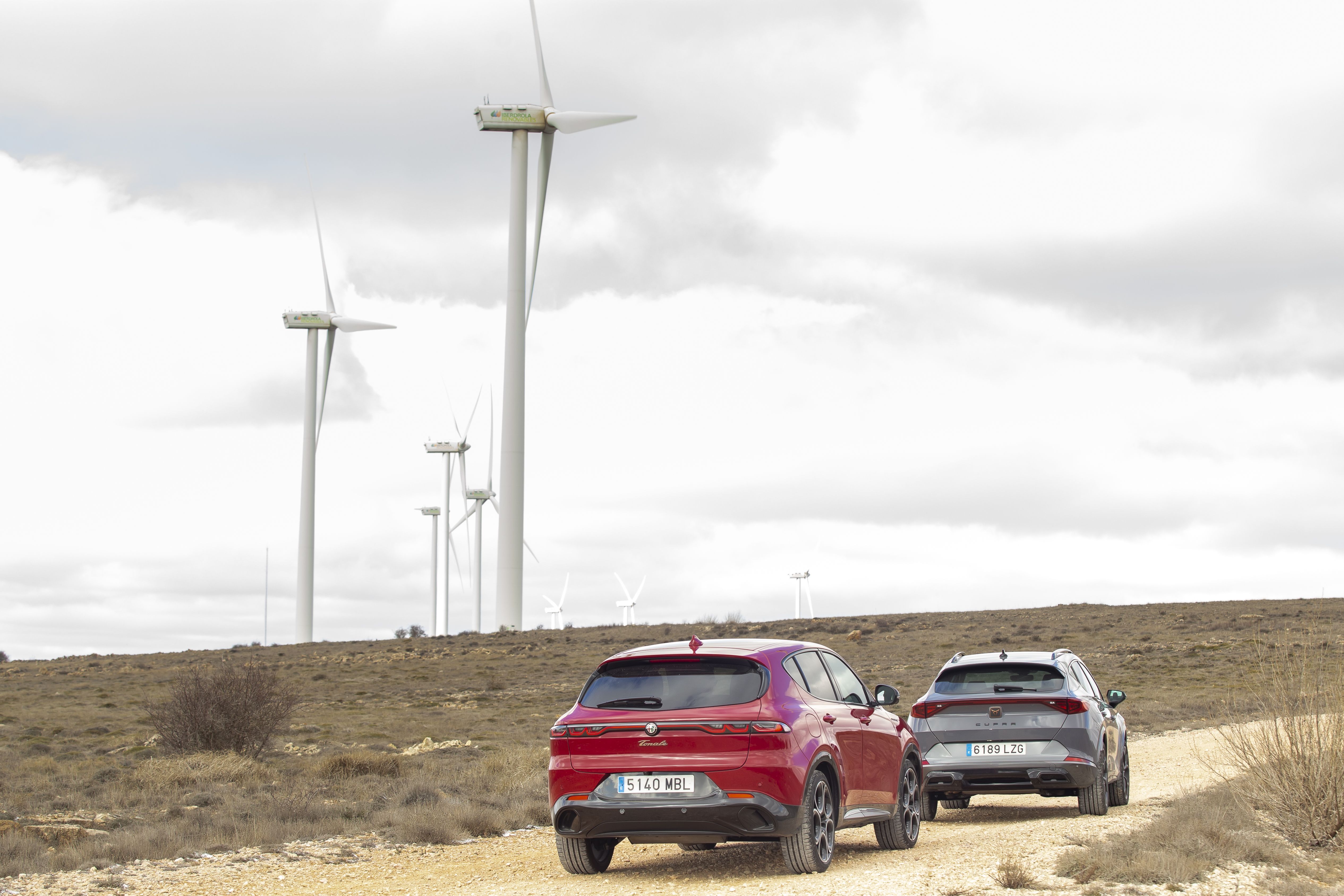 Alfa Romeo Tonale Hybrid vs Cupra Formentor 1.5 TSI