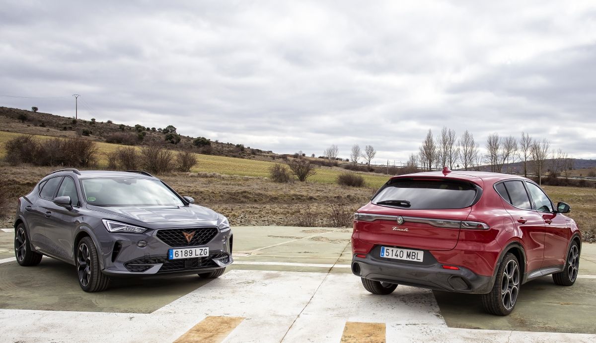 Alfa Romeo Tonale Hybrid vs Cupra Formentor 1.5 TSI, cuál es el mejor SUV deportivo del momento