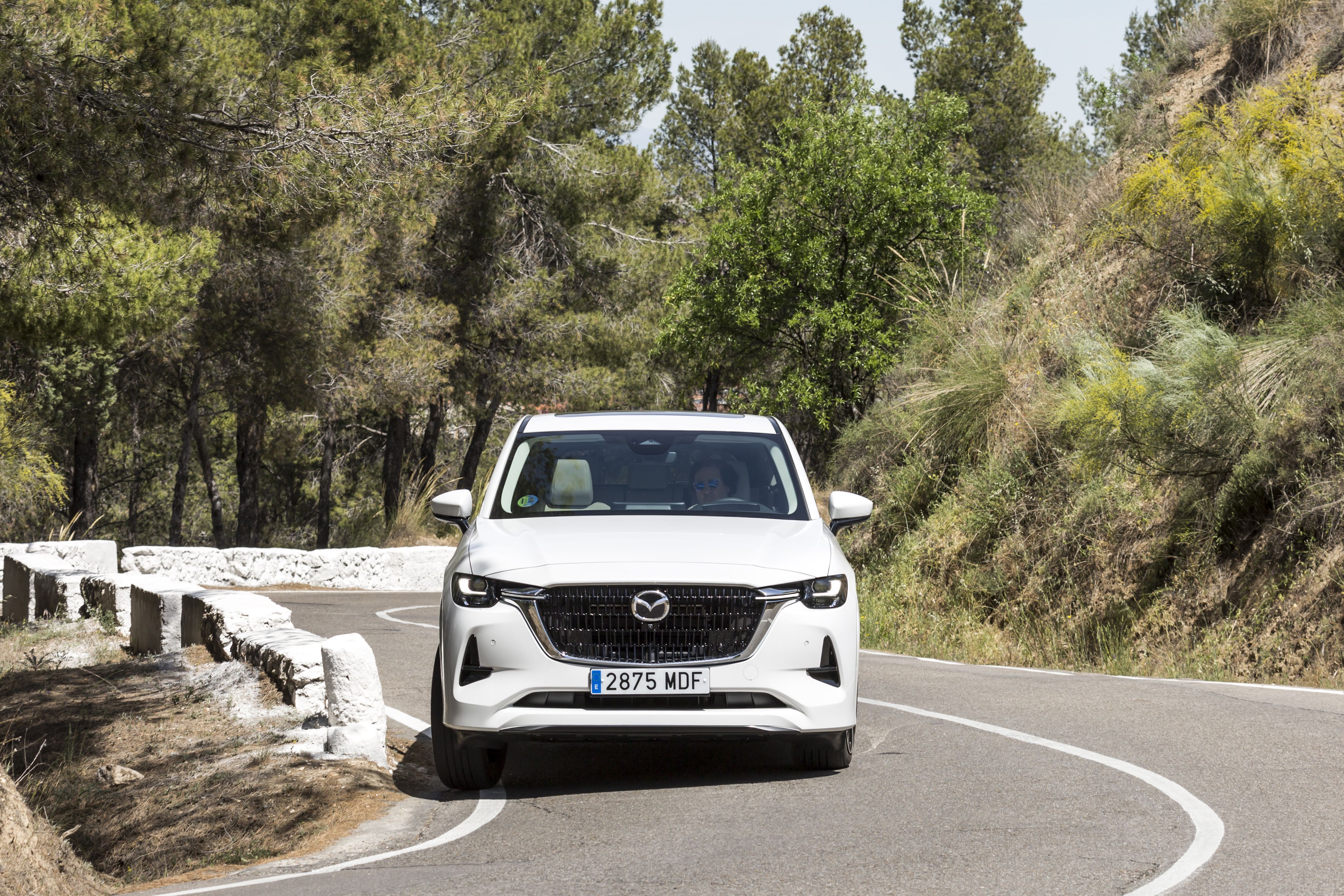 Mazda CX-60 e-Skyactiv D 200 CV RWD