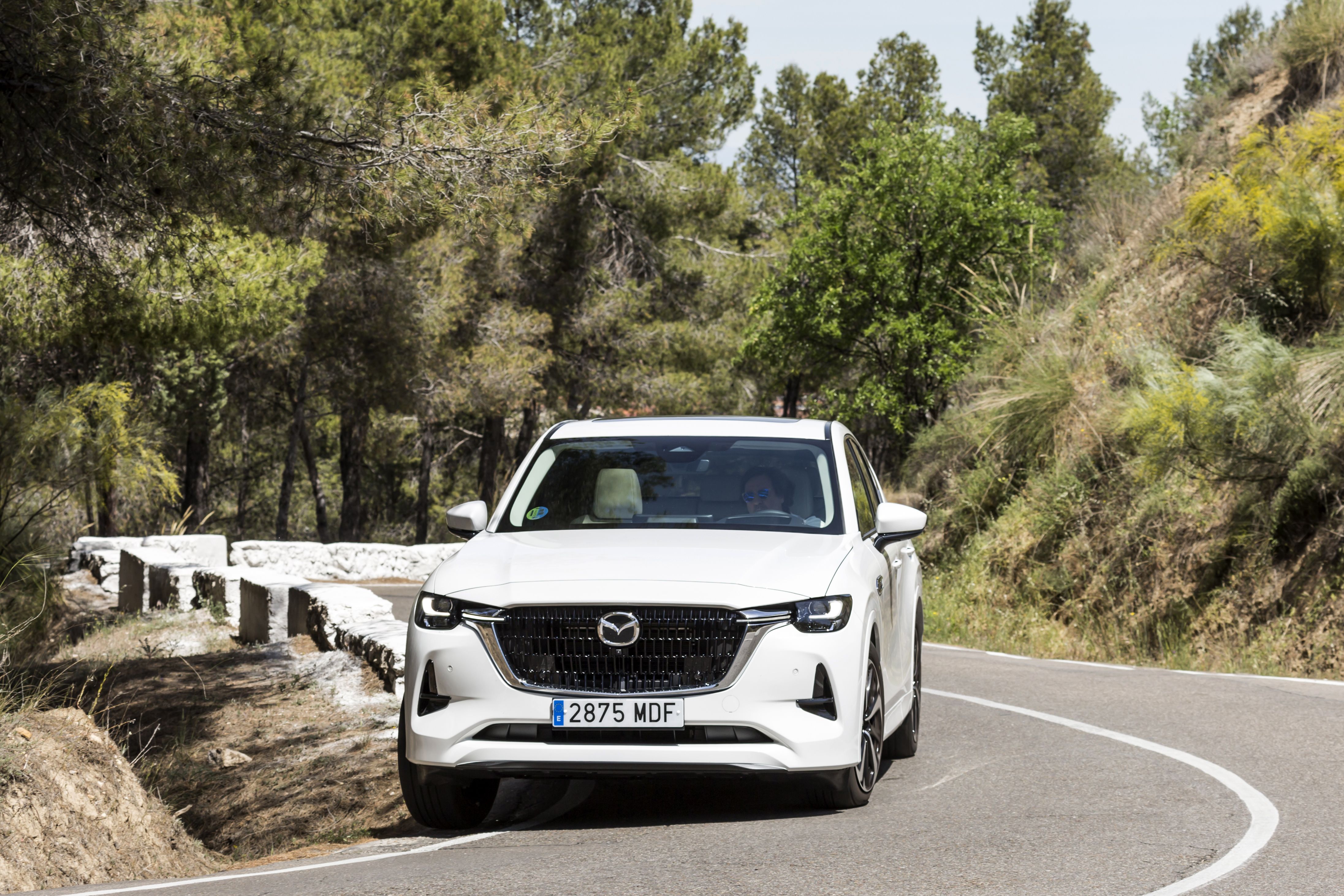 Mazda CX-60 e-Skyactiv D 200 CV RWD