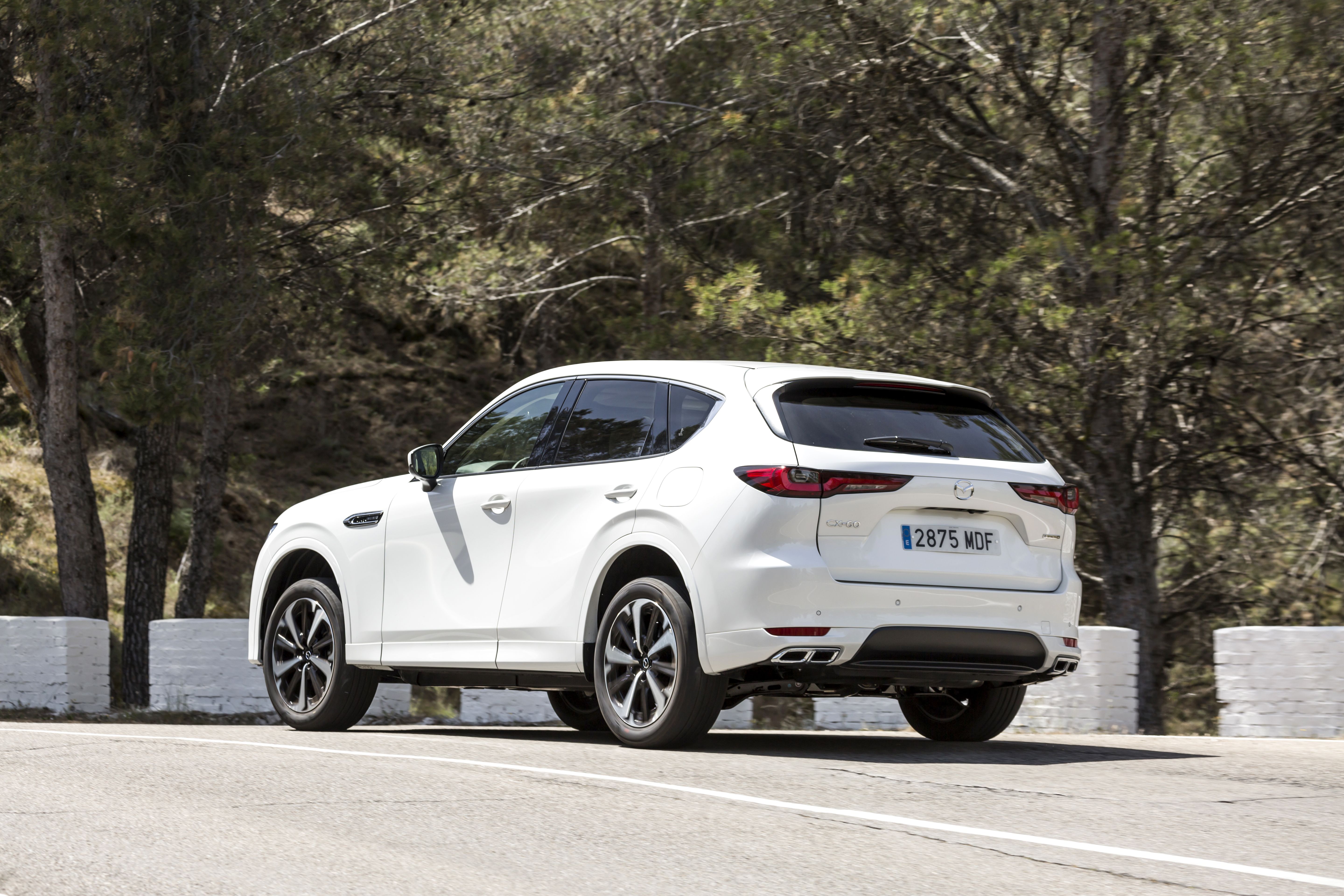 Mazda CX-60 e-Skyactiv D 200 CV RWD