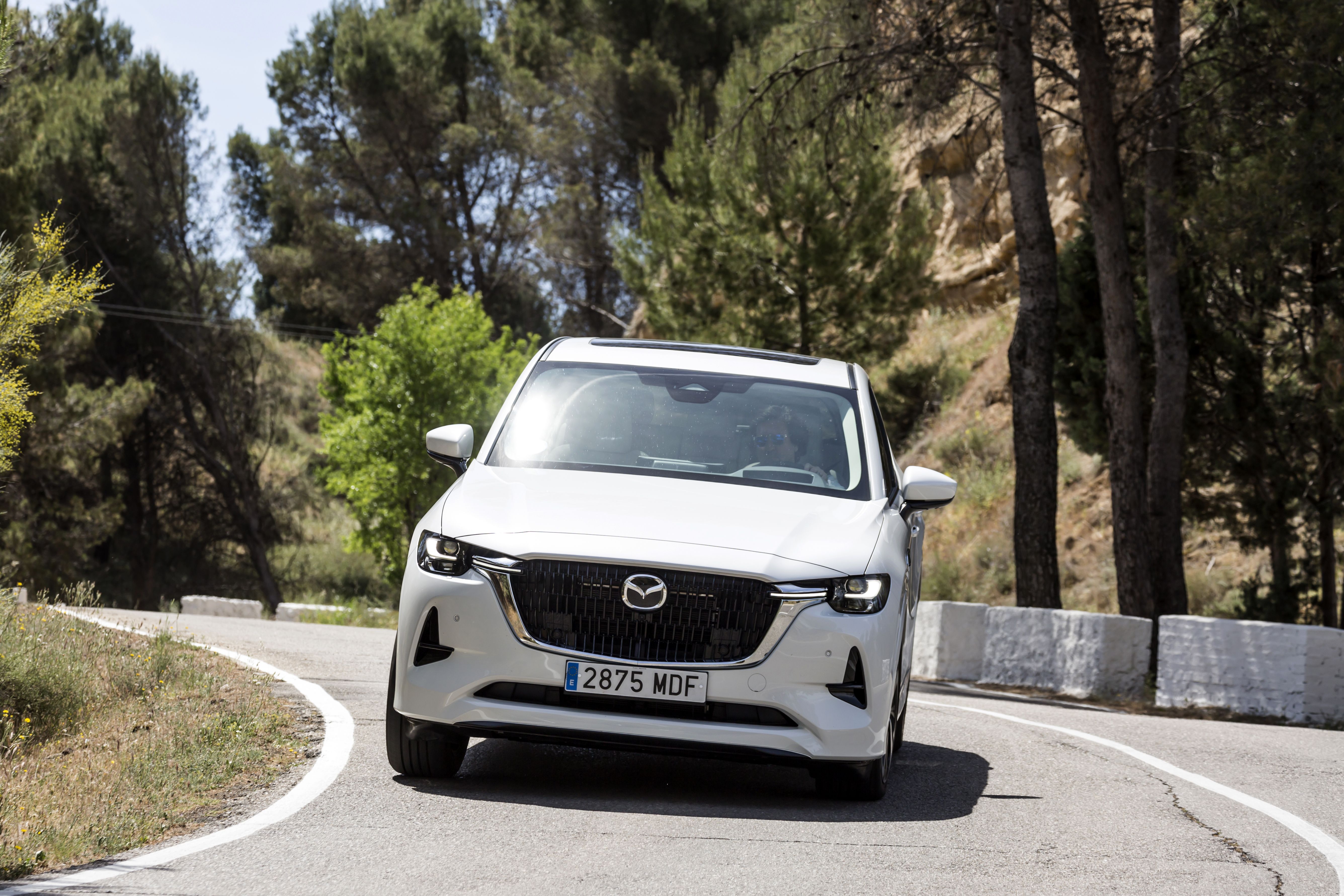 Mazda CX-60 e-Skyactiv D 200 CV RWD