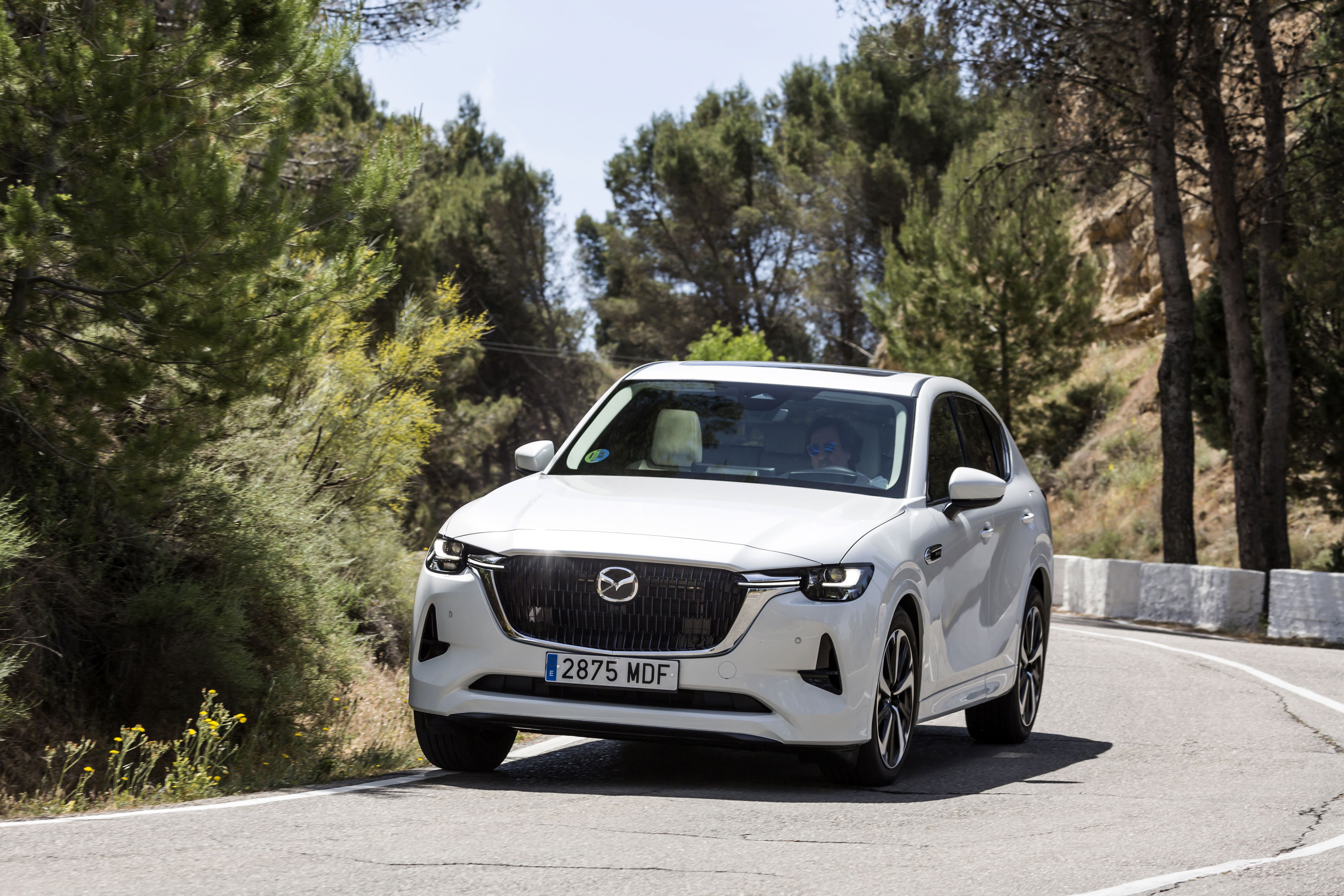 Mazda CX-60 e-Skyactiv D 200 CV RWD