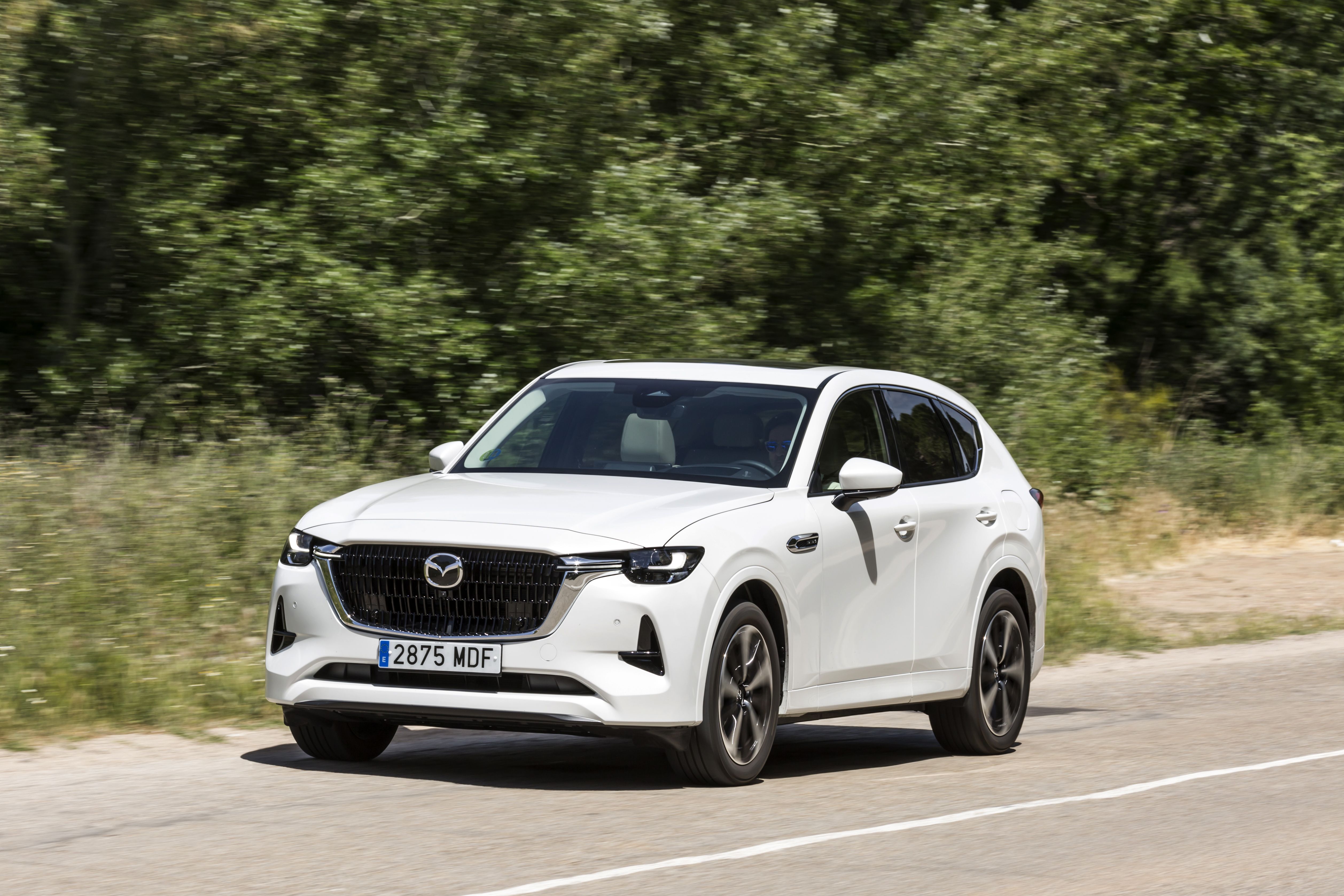 Mazda CX-60 e-Skyactiv D 200 CV RWD