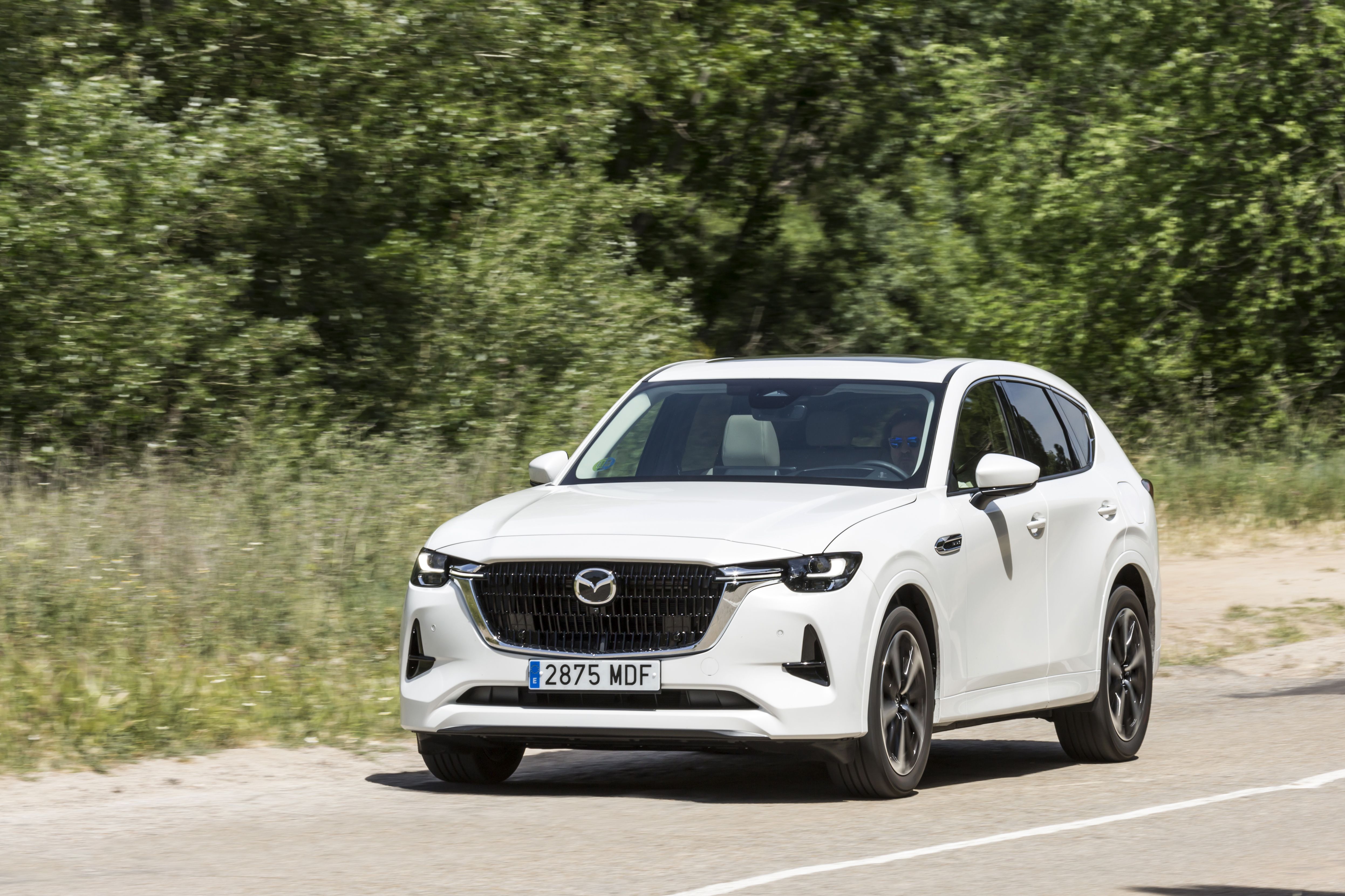 Mazda CX-60 e-Skyactiv D 200 CV RWD