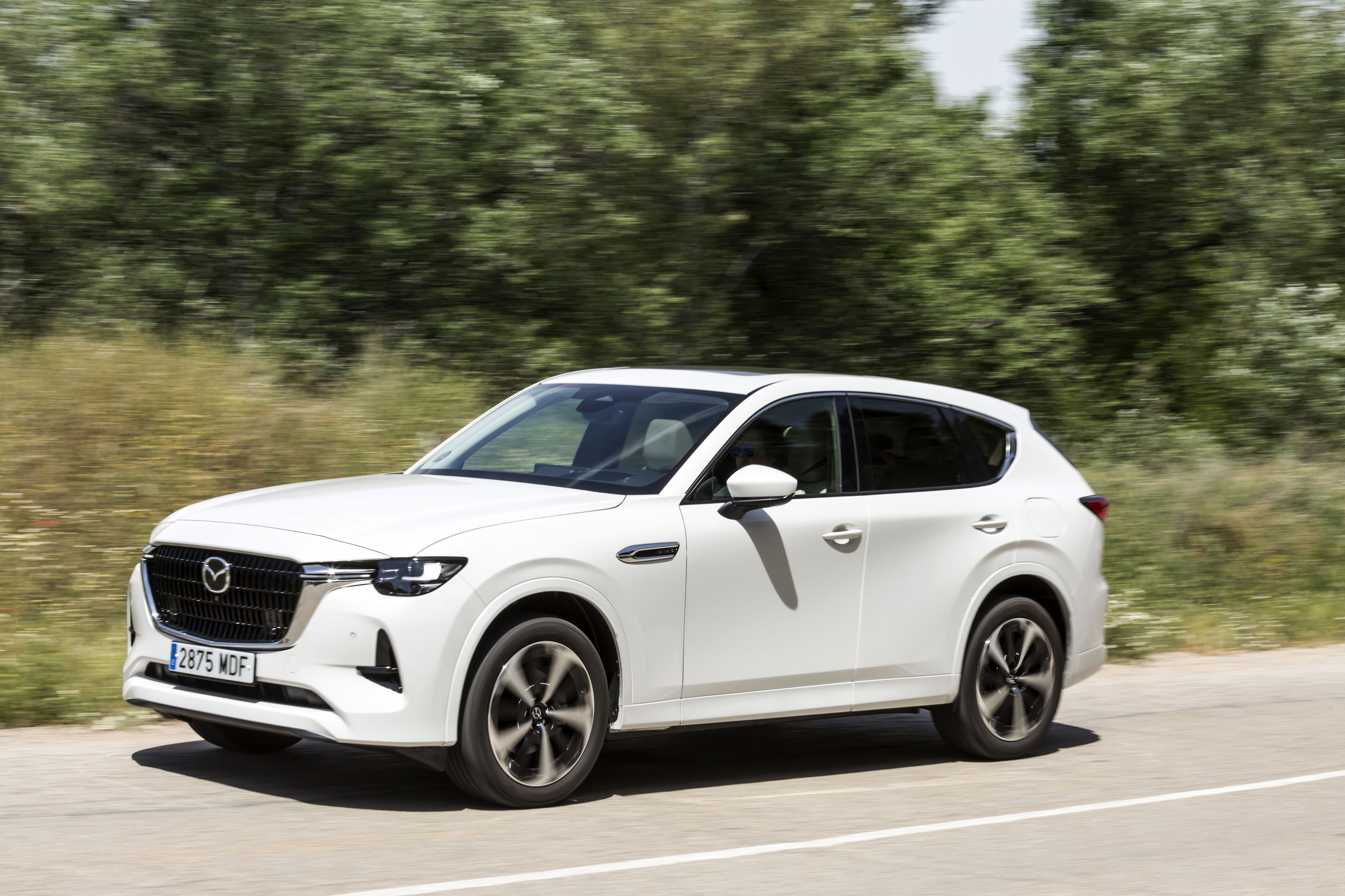 Mazda CX-60 e-Skyactiv D 200 CV RWD