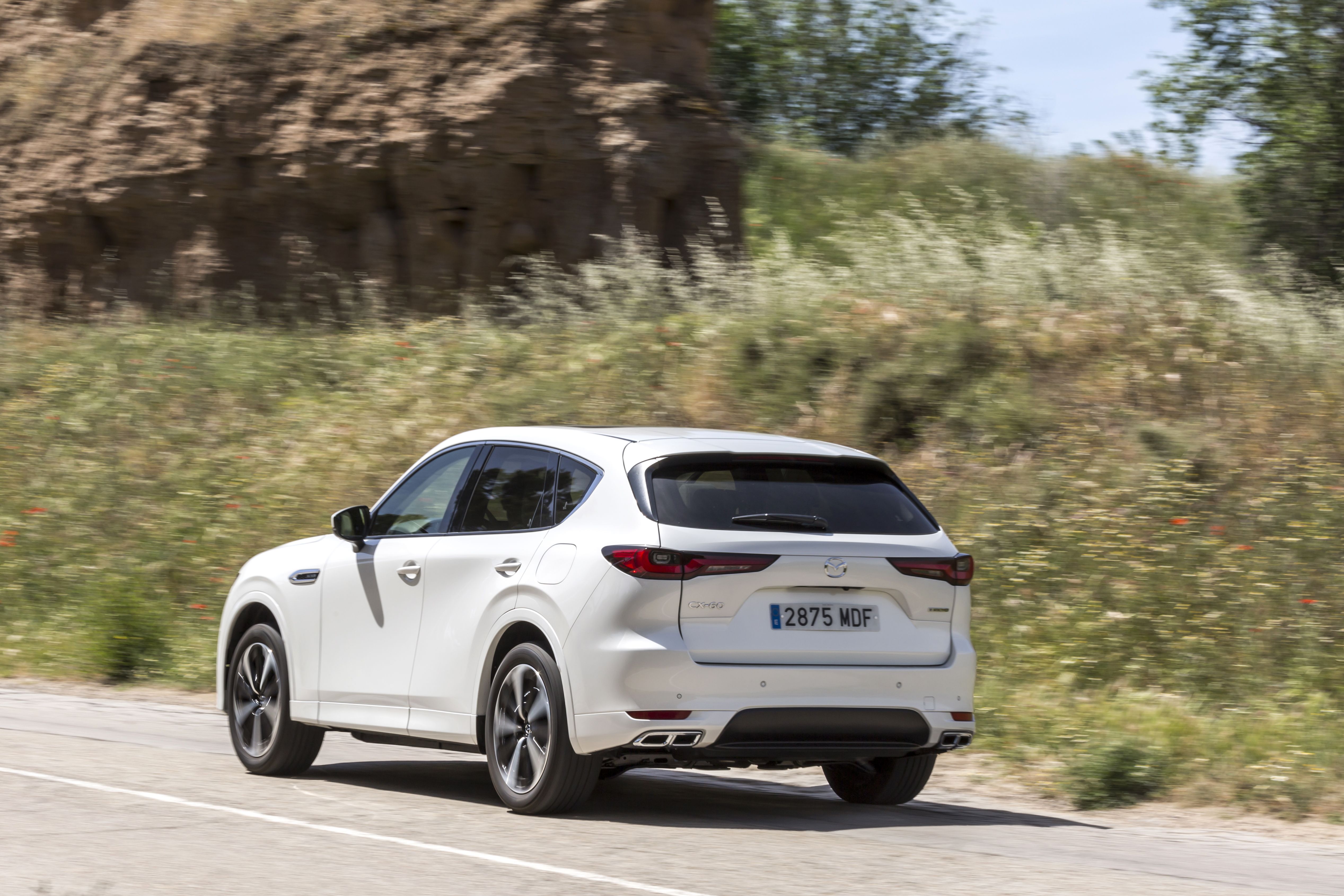 Mazda CX-60 e-Skyactiv D 200 CV RWD