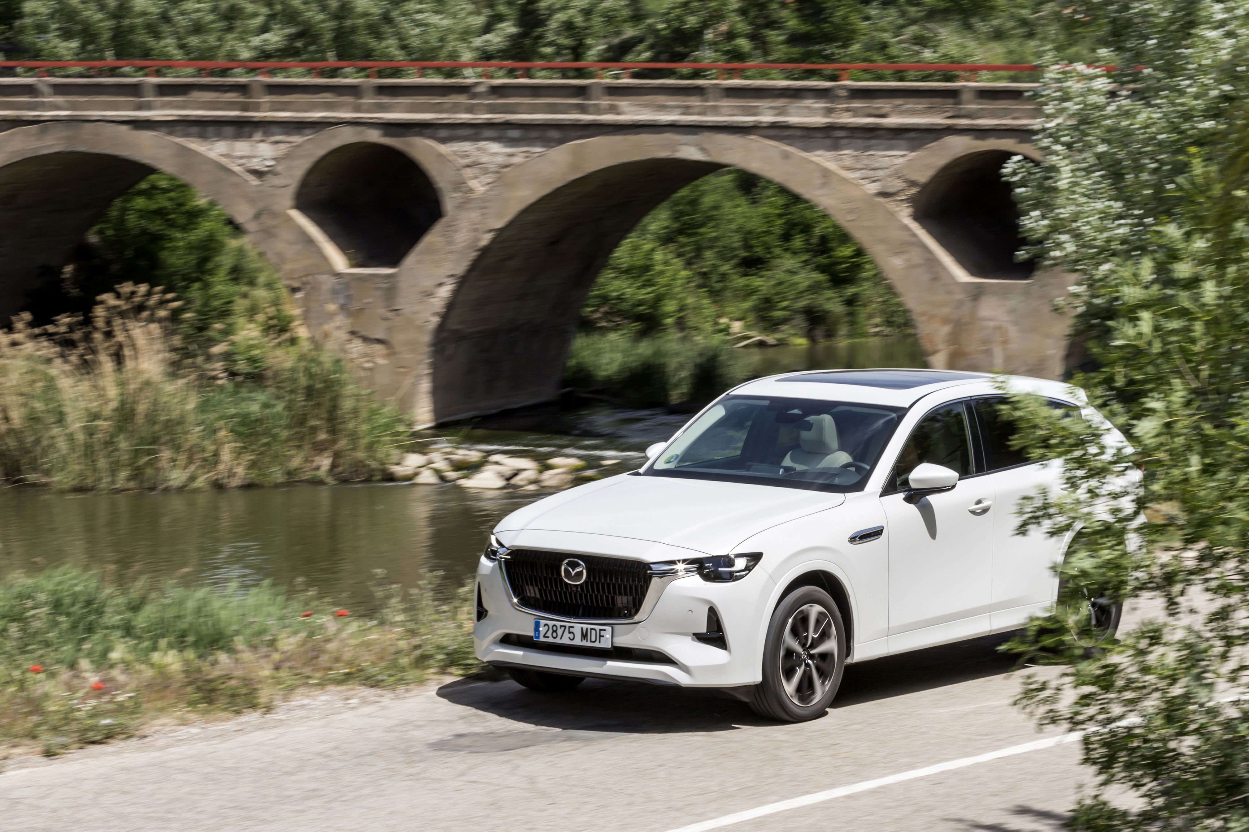 Mazda CX-60 e-Skyactiv D 200 CV RWD