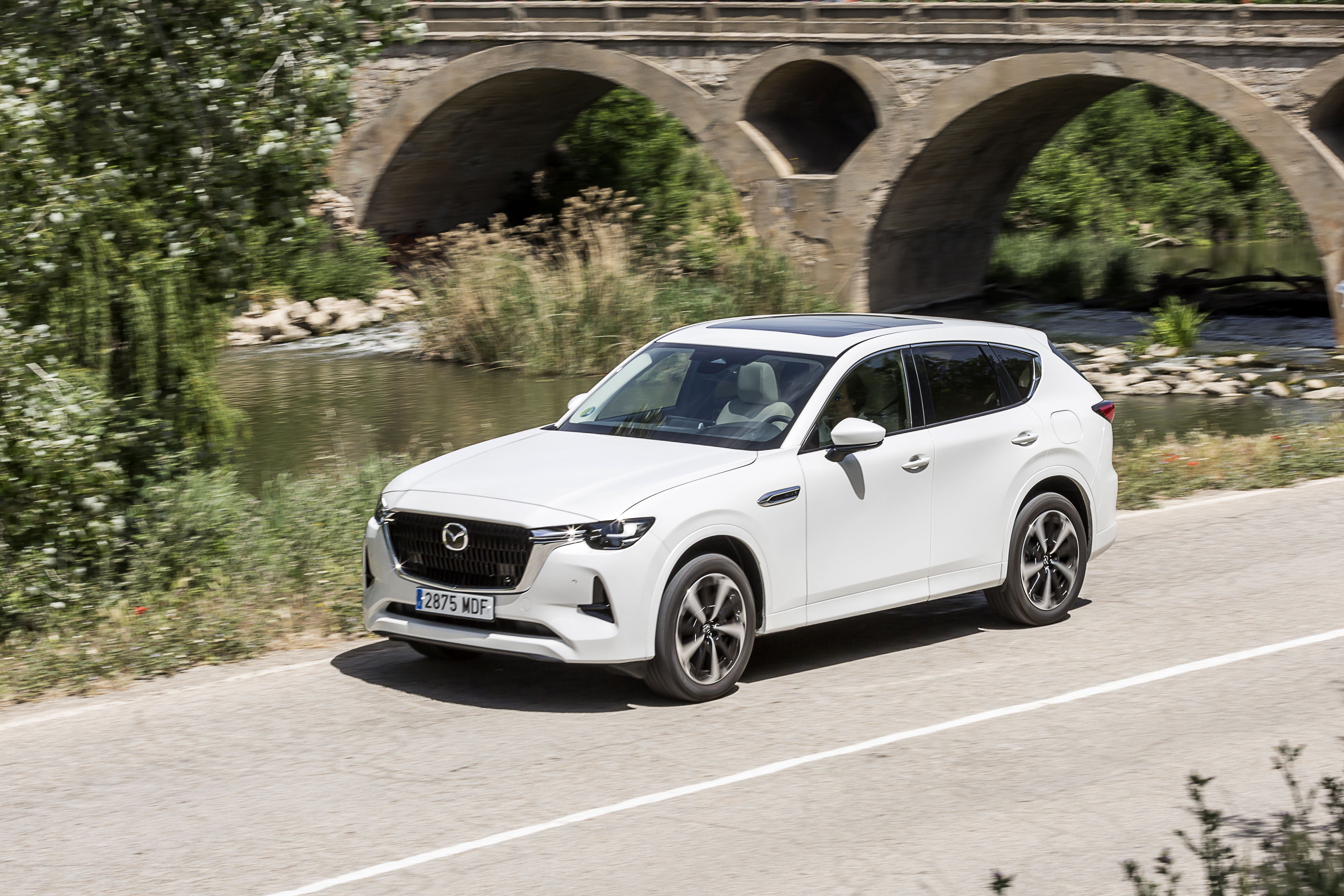 Mazda CX-60 e-Skyactiv D 200 CV RWD