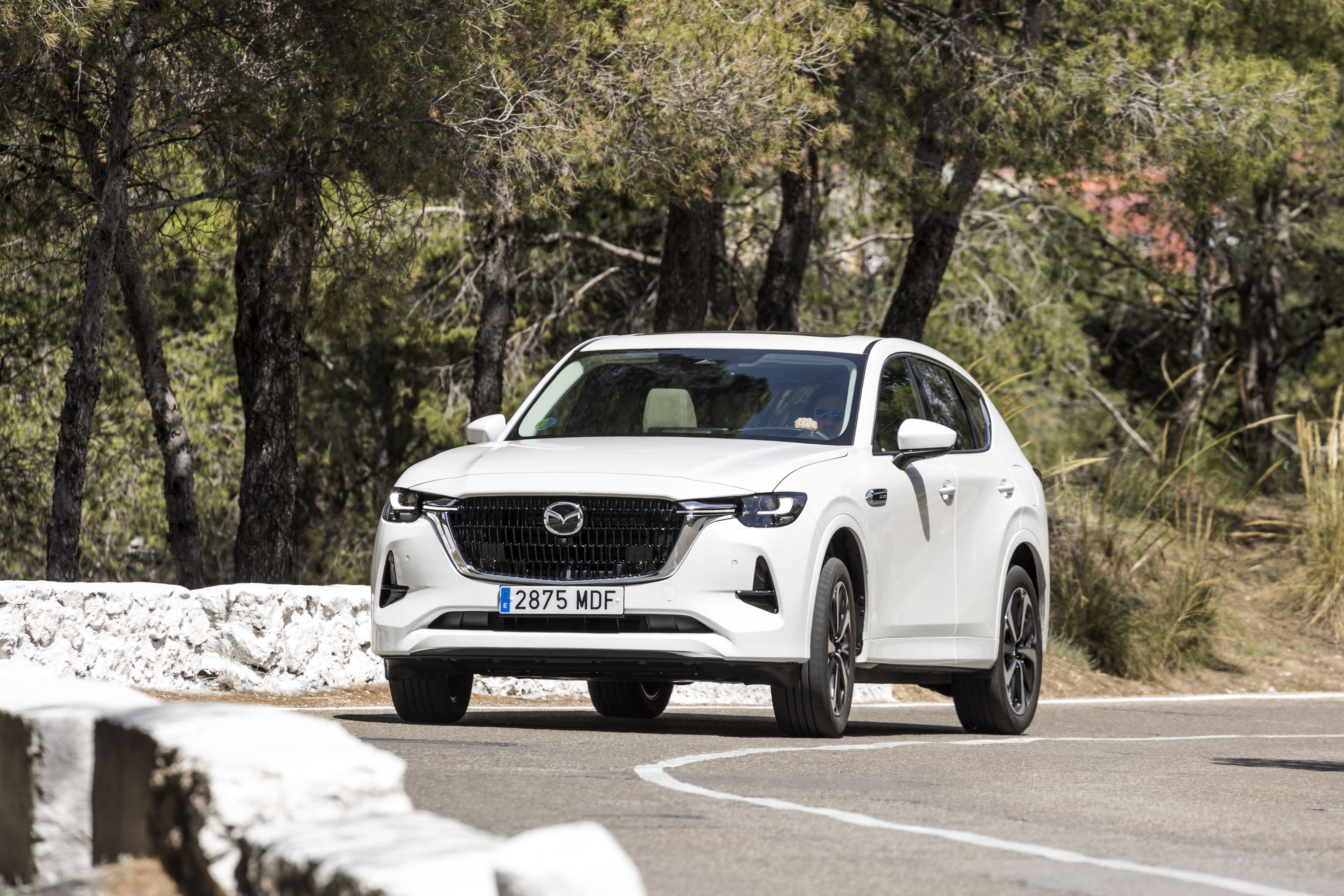 Mazda CX-60 e-Skyactiv D 200 CV RWD