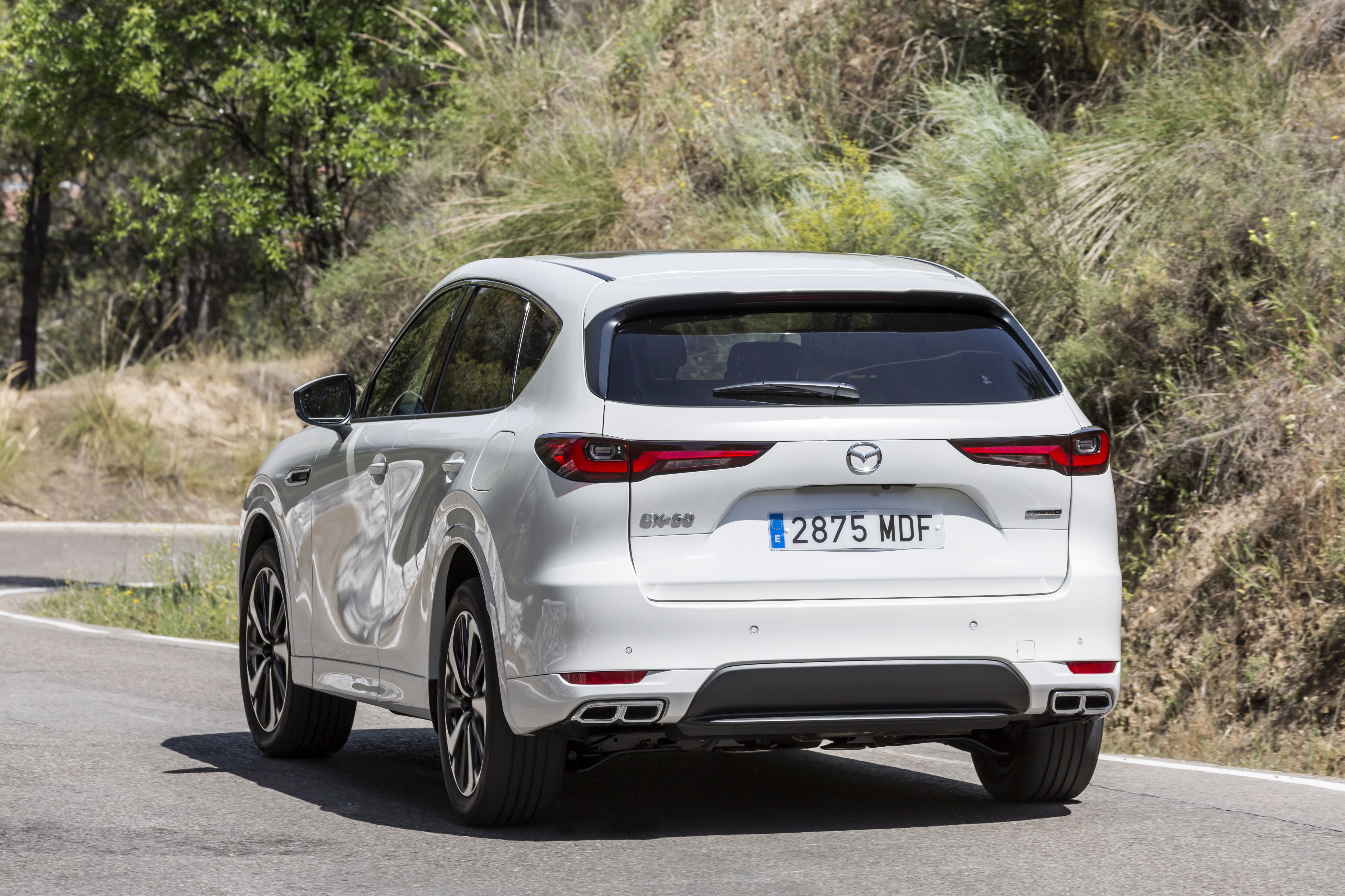 Mazda CX-60 e-Skyactiv D 200 CV RWD