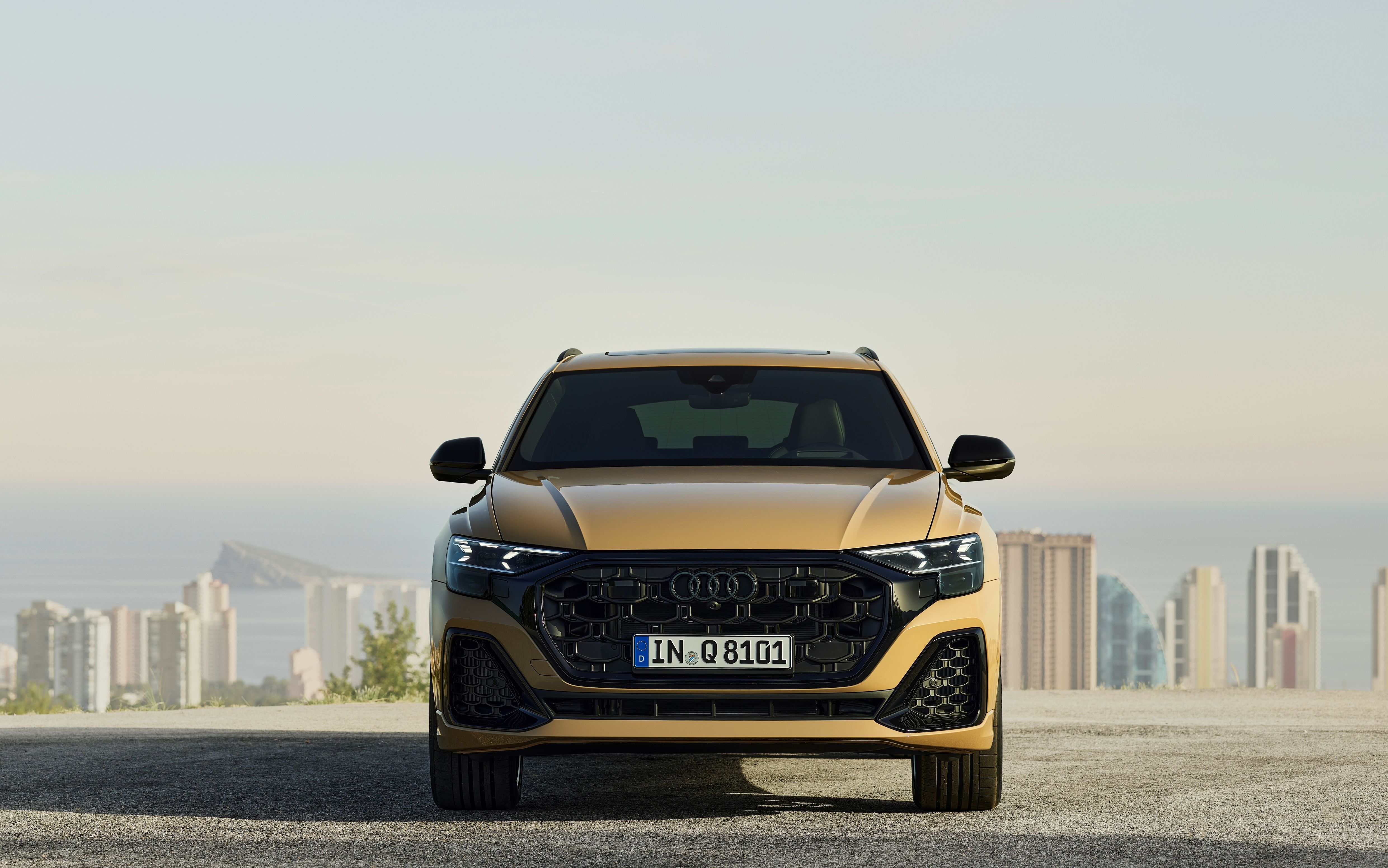 Audi Q8 2023