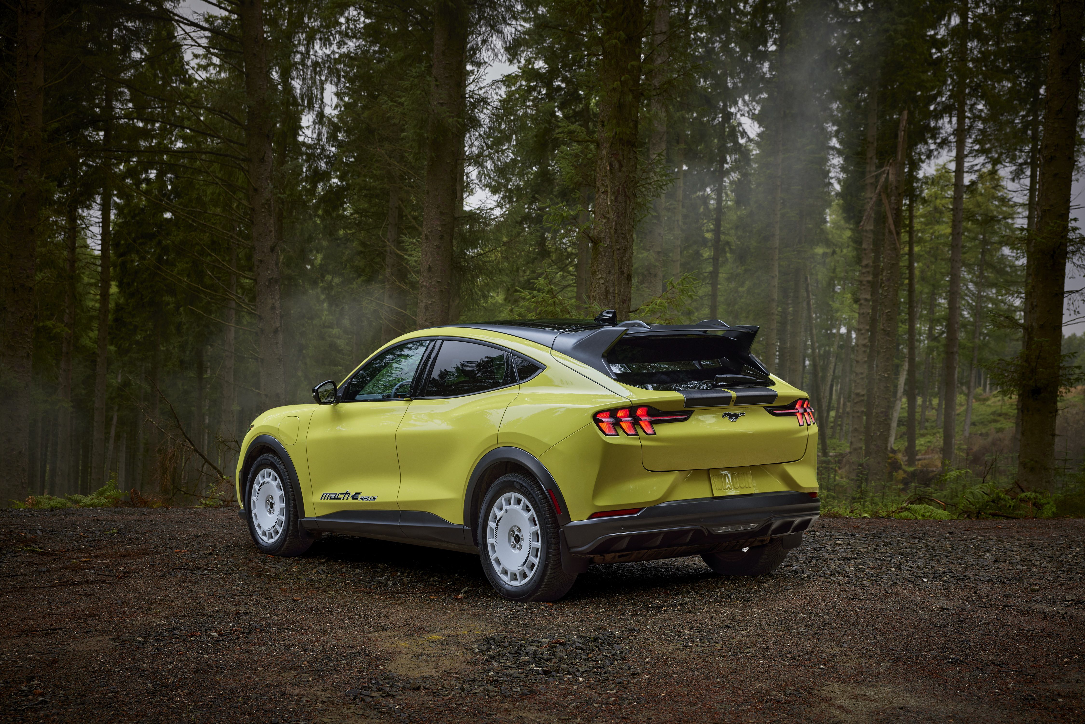 Ford Mustang Mach E Rally (2)