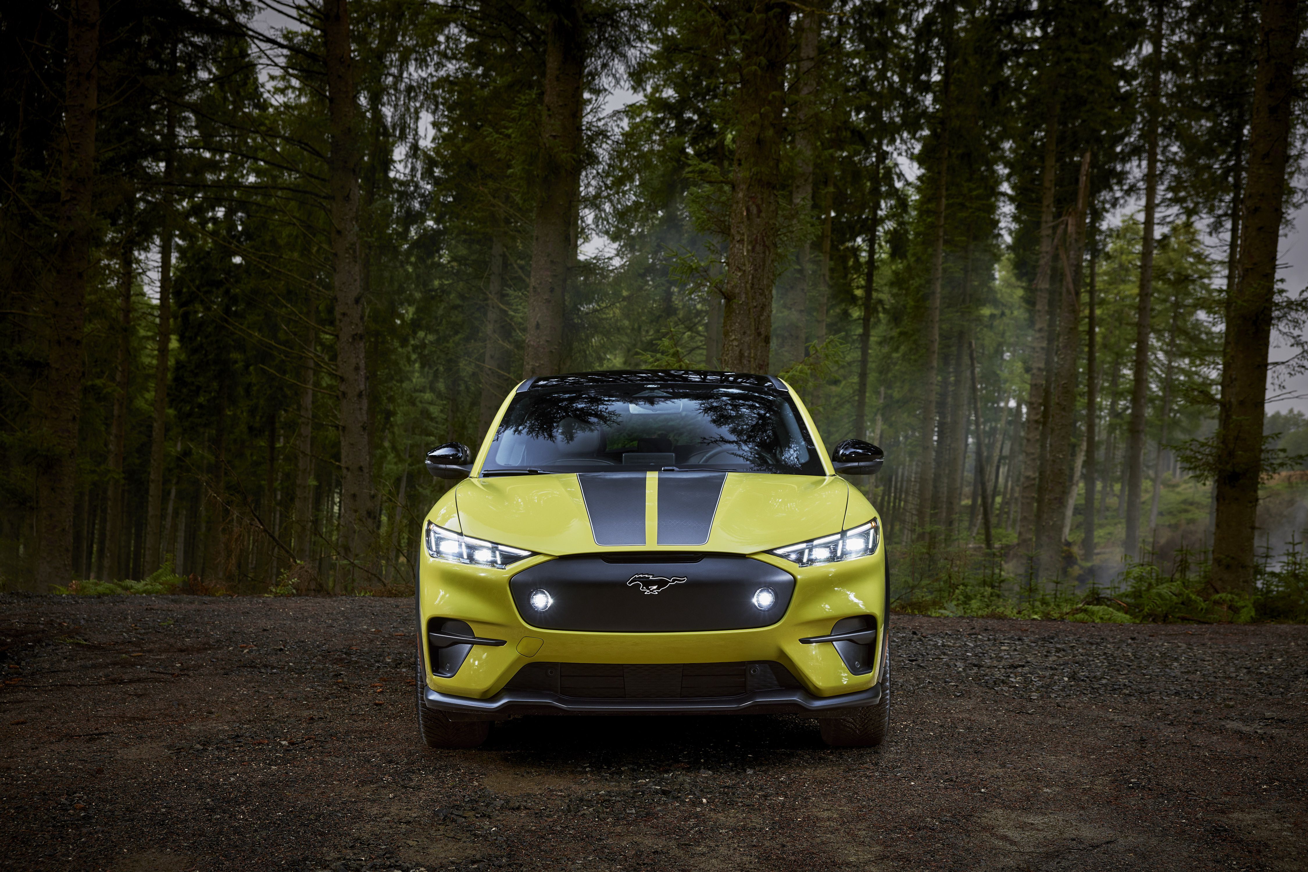 Ford Mustang Mach E Rally (4)