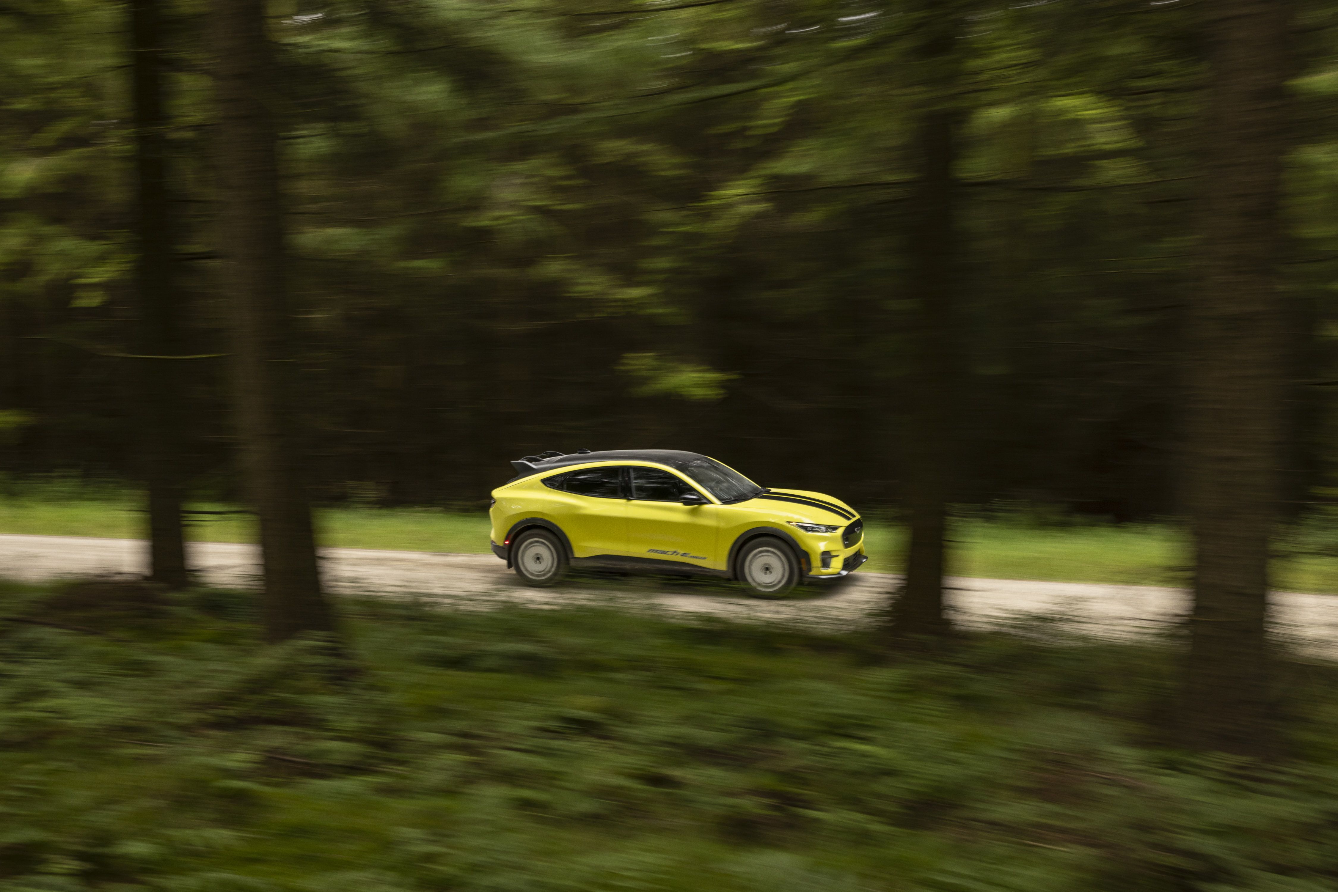 Ford Mustang Mach E Rally (12)