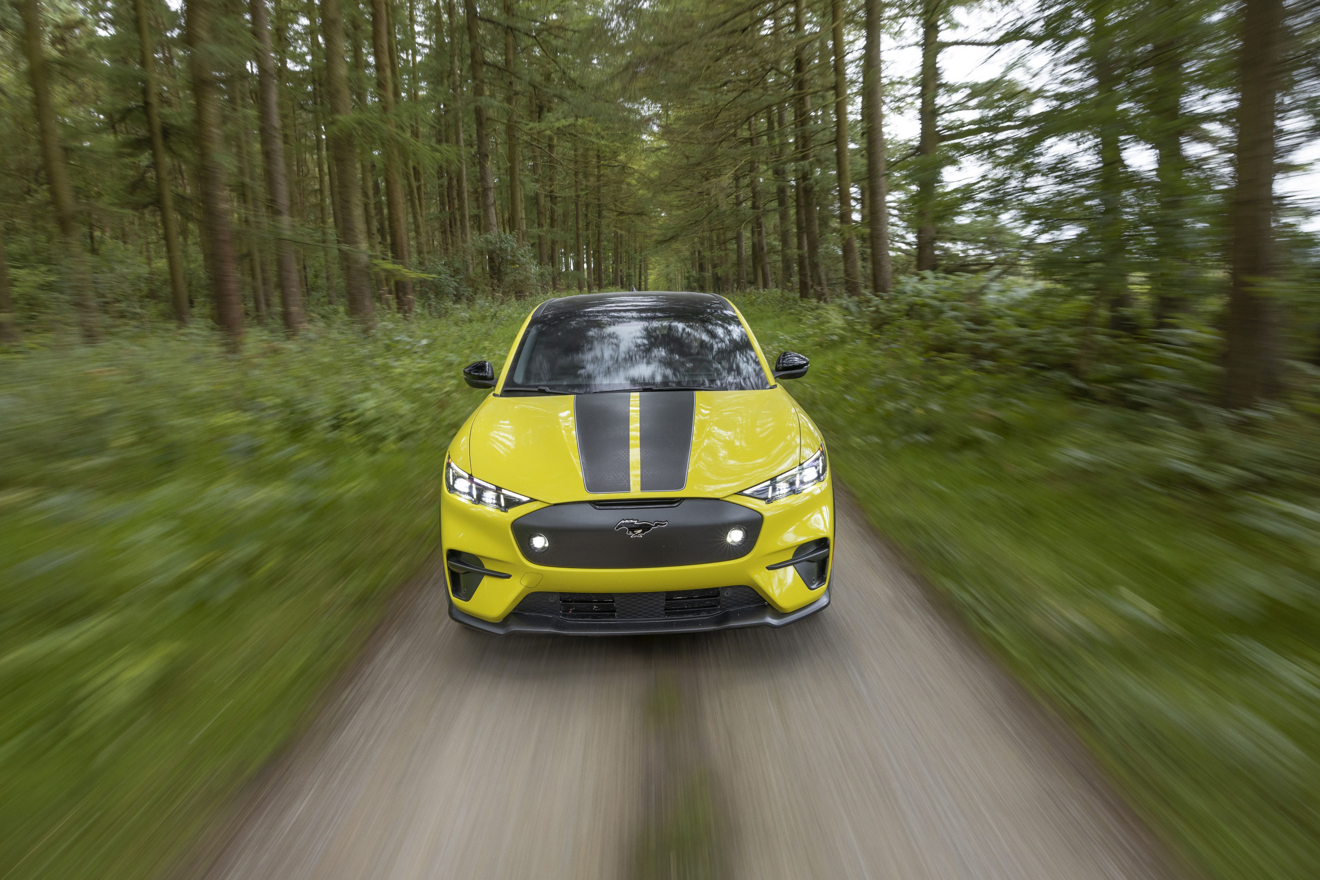 Ford Mustang Mach E Rally (14)