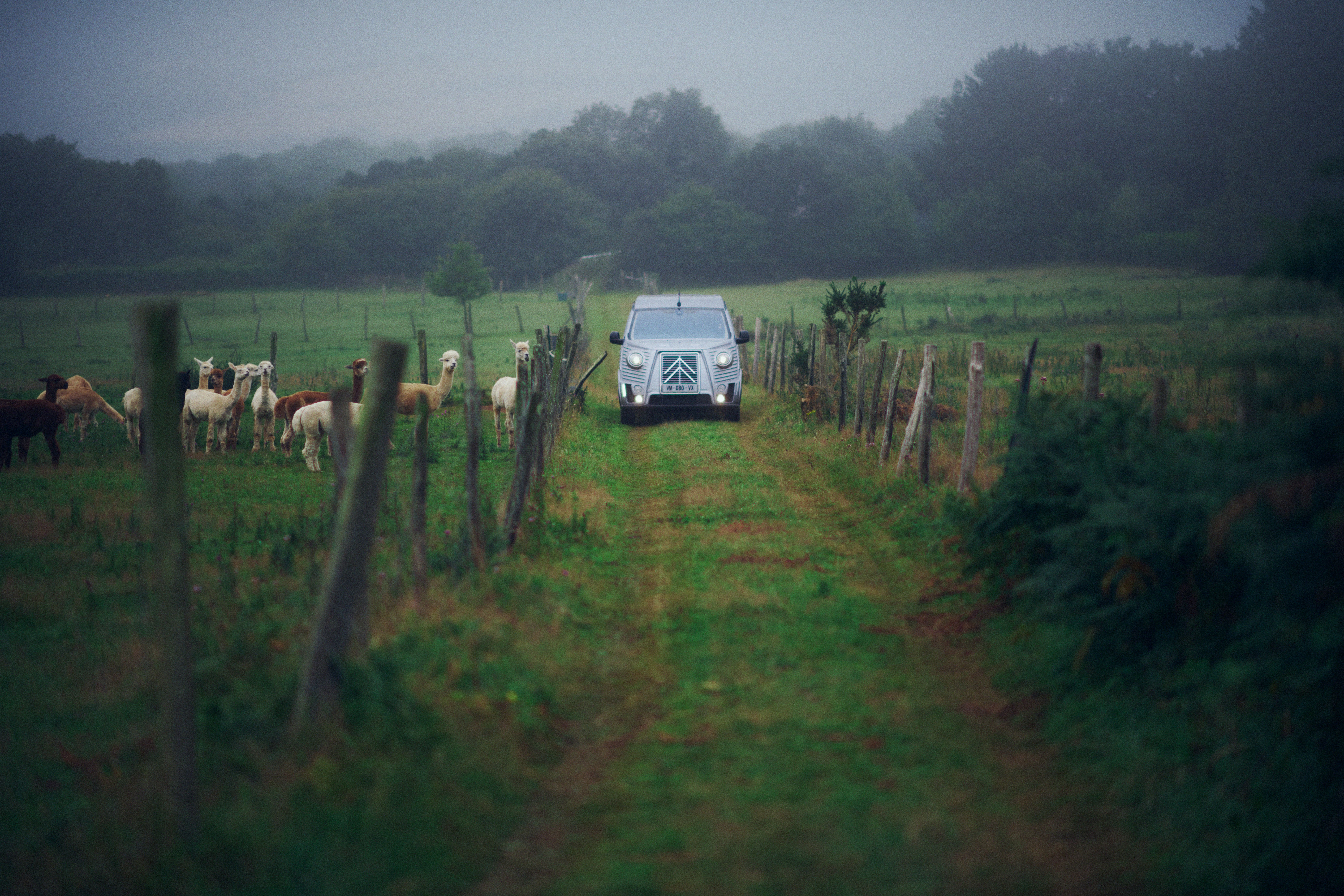 Citroën Type Holidays: así será la nueva furgoneta camper total