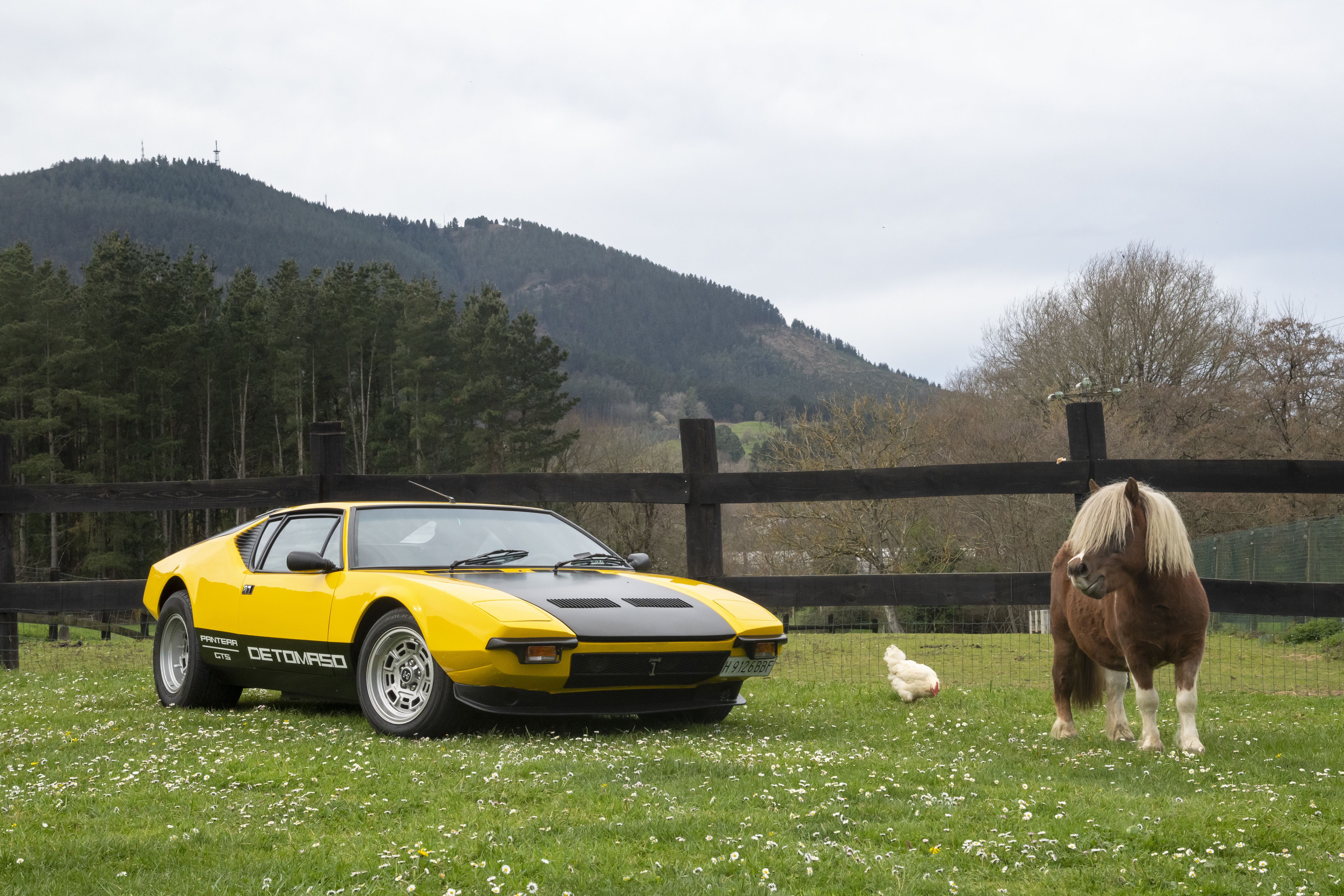 De Tomaso GTS