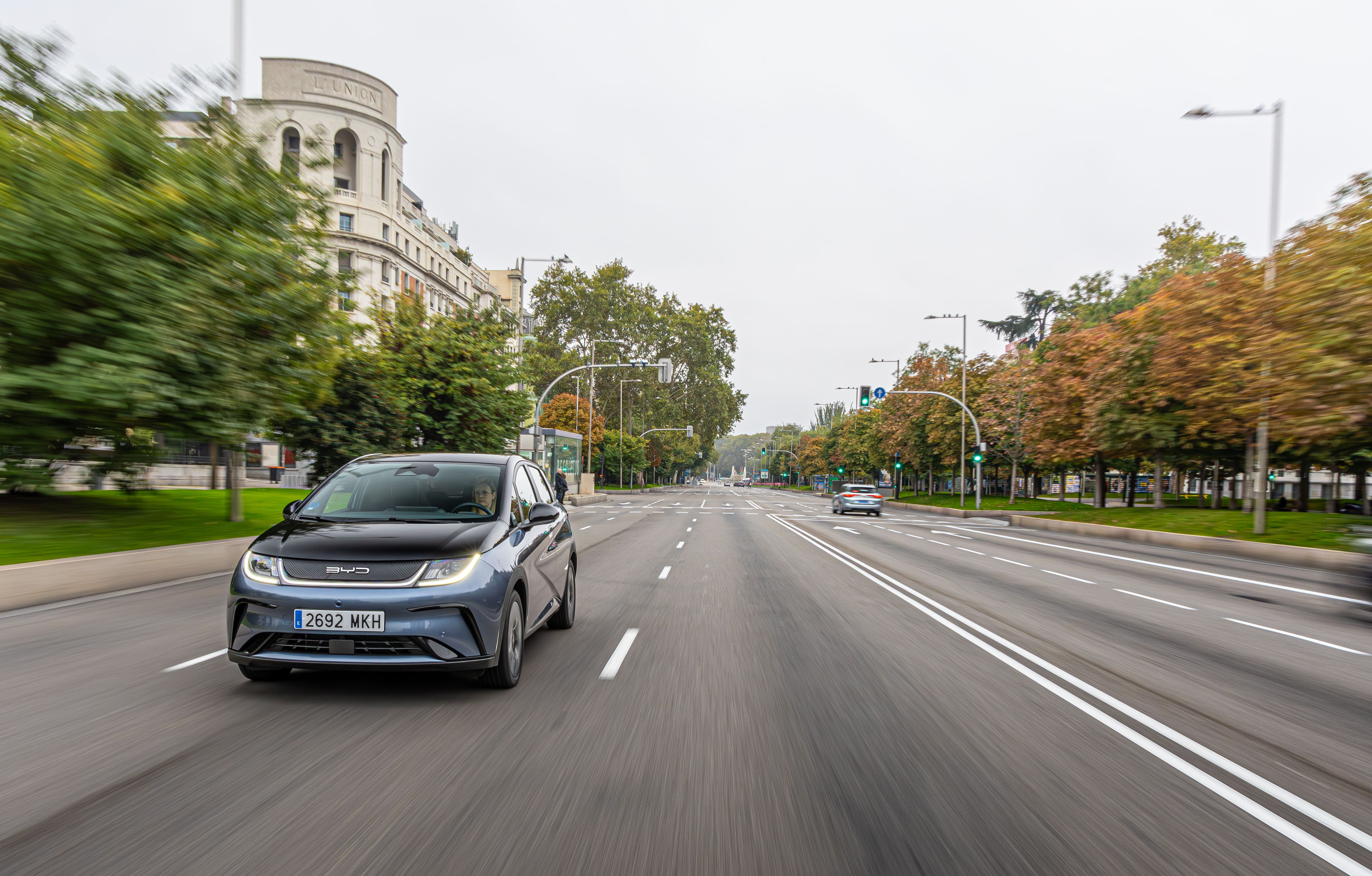 BYD Dolphin (18)