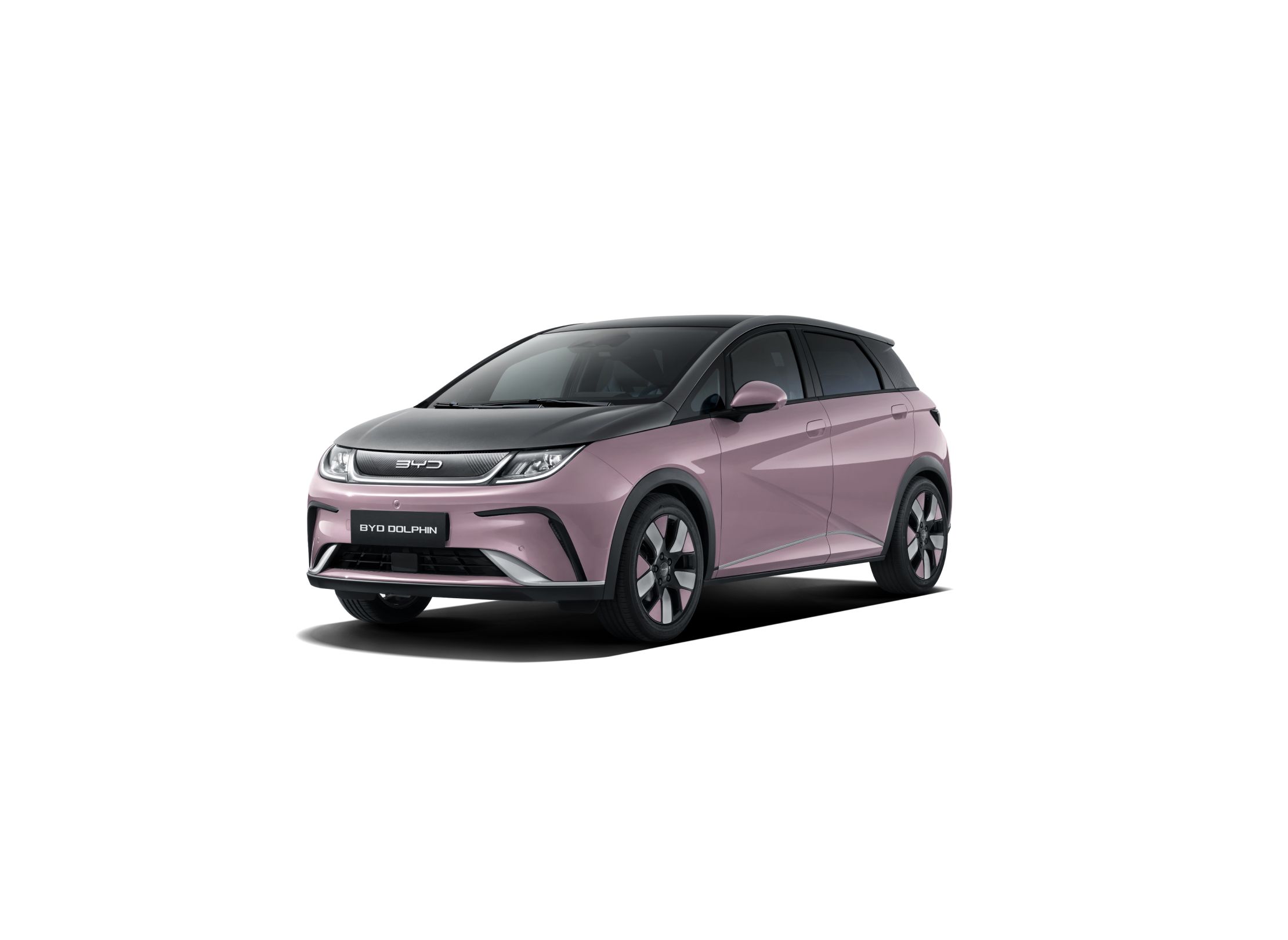 BYD Dolphin (76)