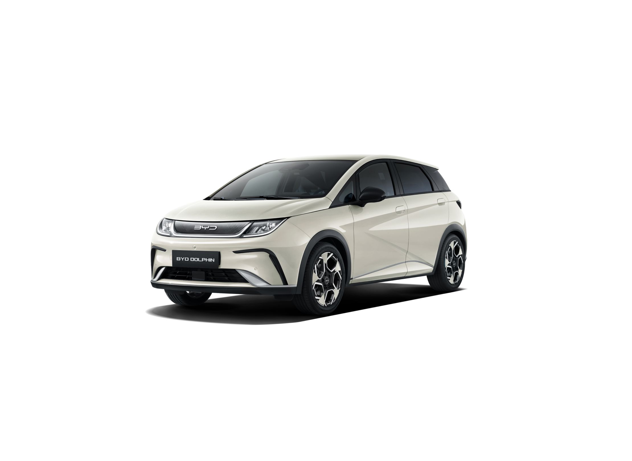 BYD Dolphin (77)