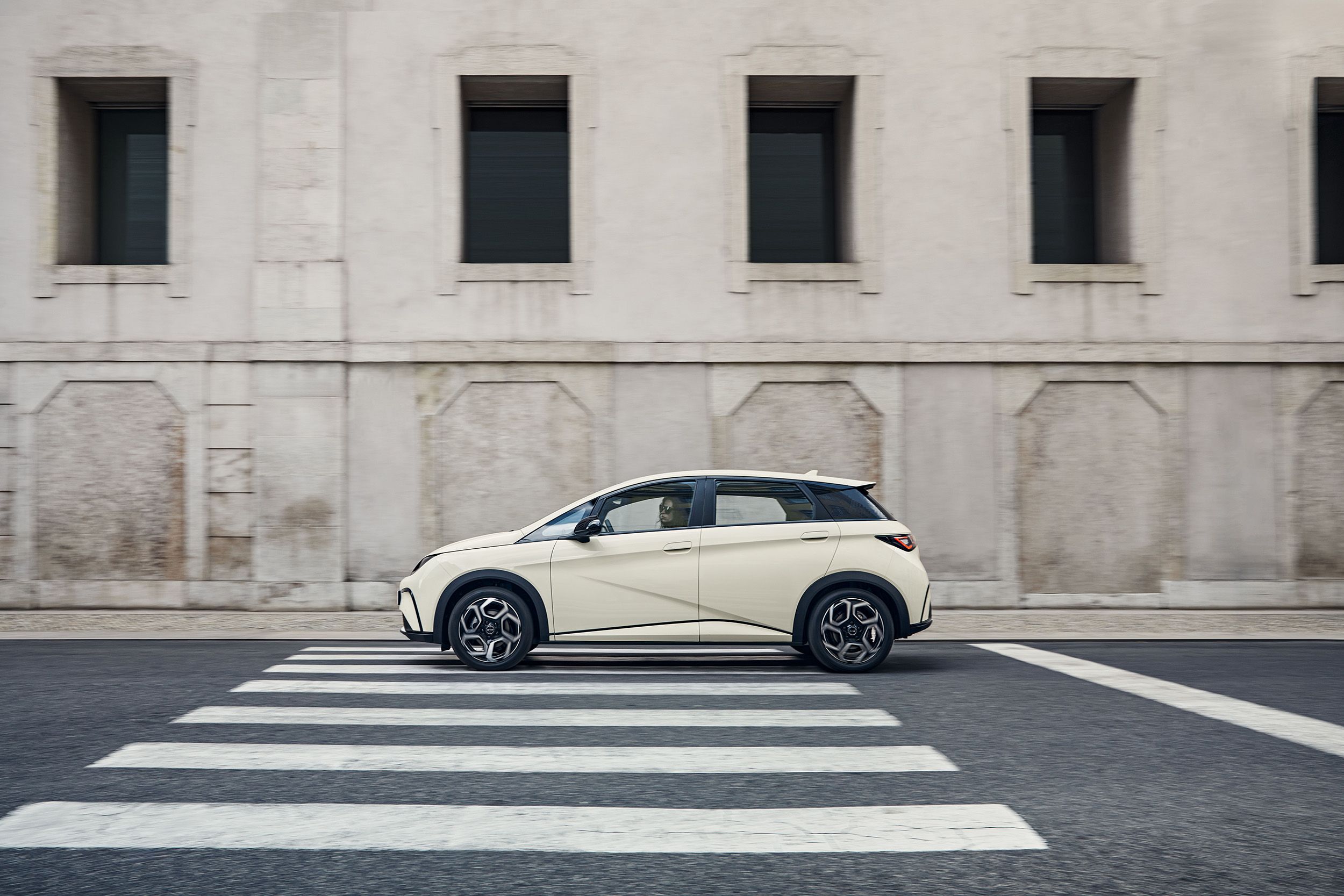 BYD Dolphin (87)