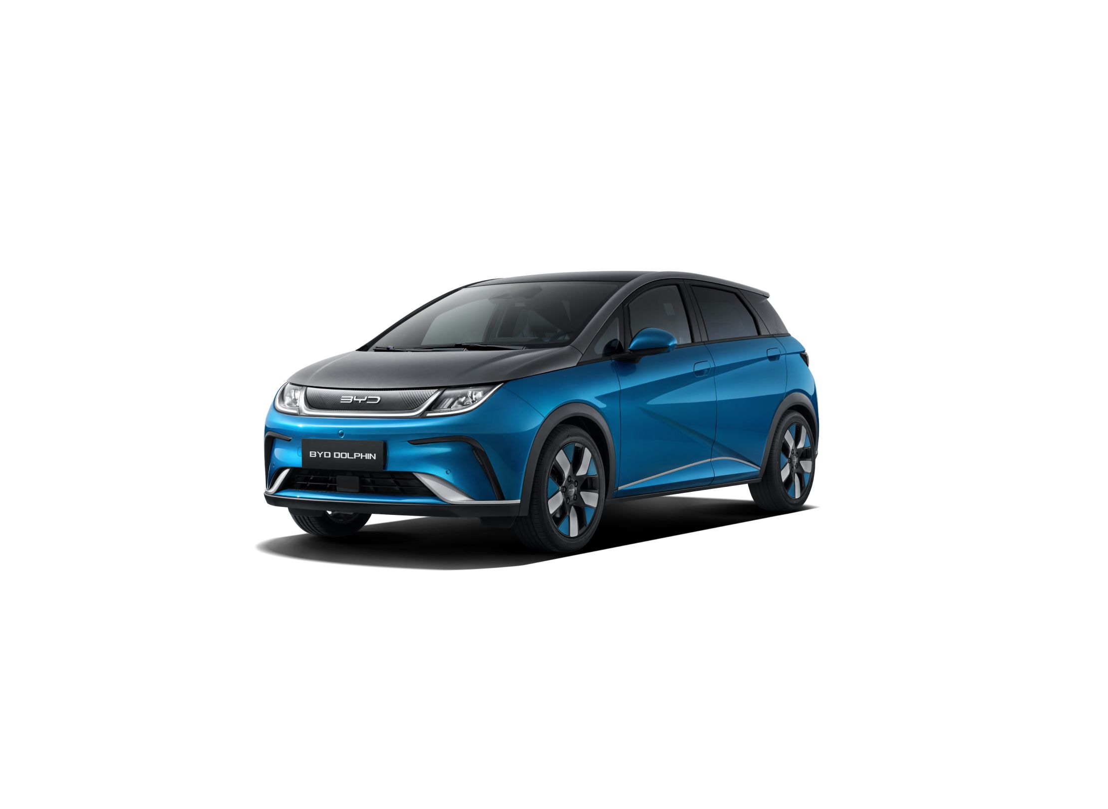 BYD Dolphin (100)
