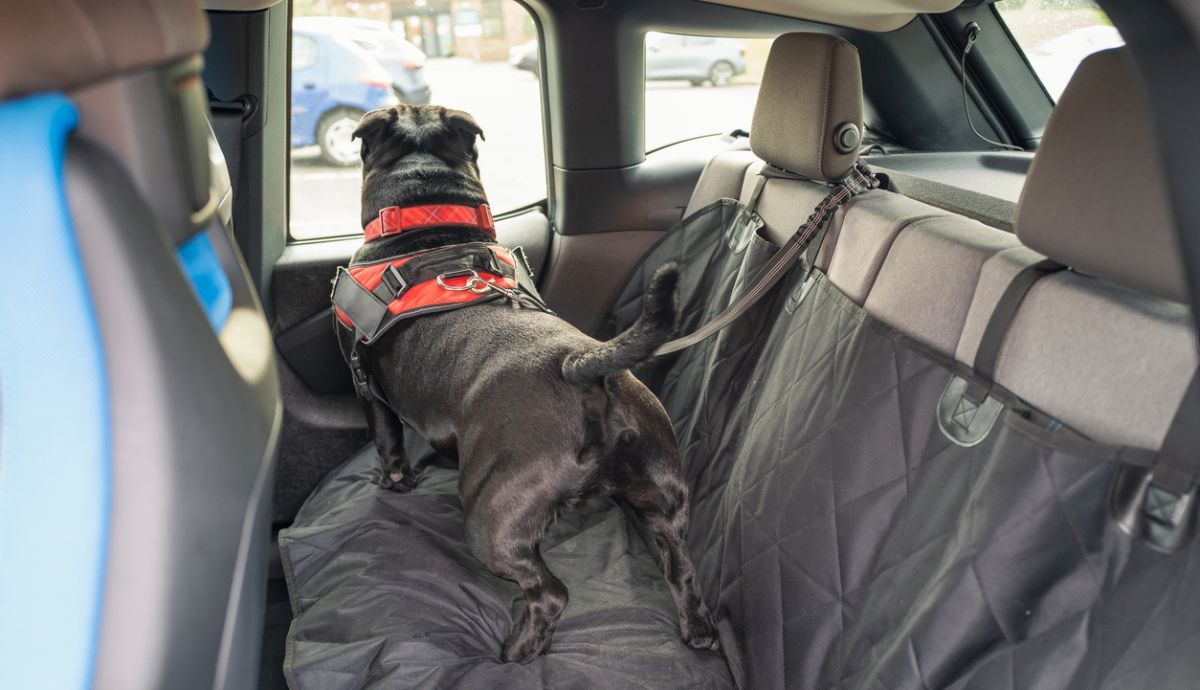 Fundas para asientos de coche: ¿Cómo ponerlas, paso a paso?