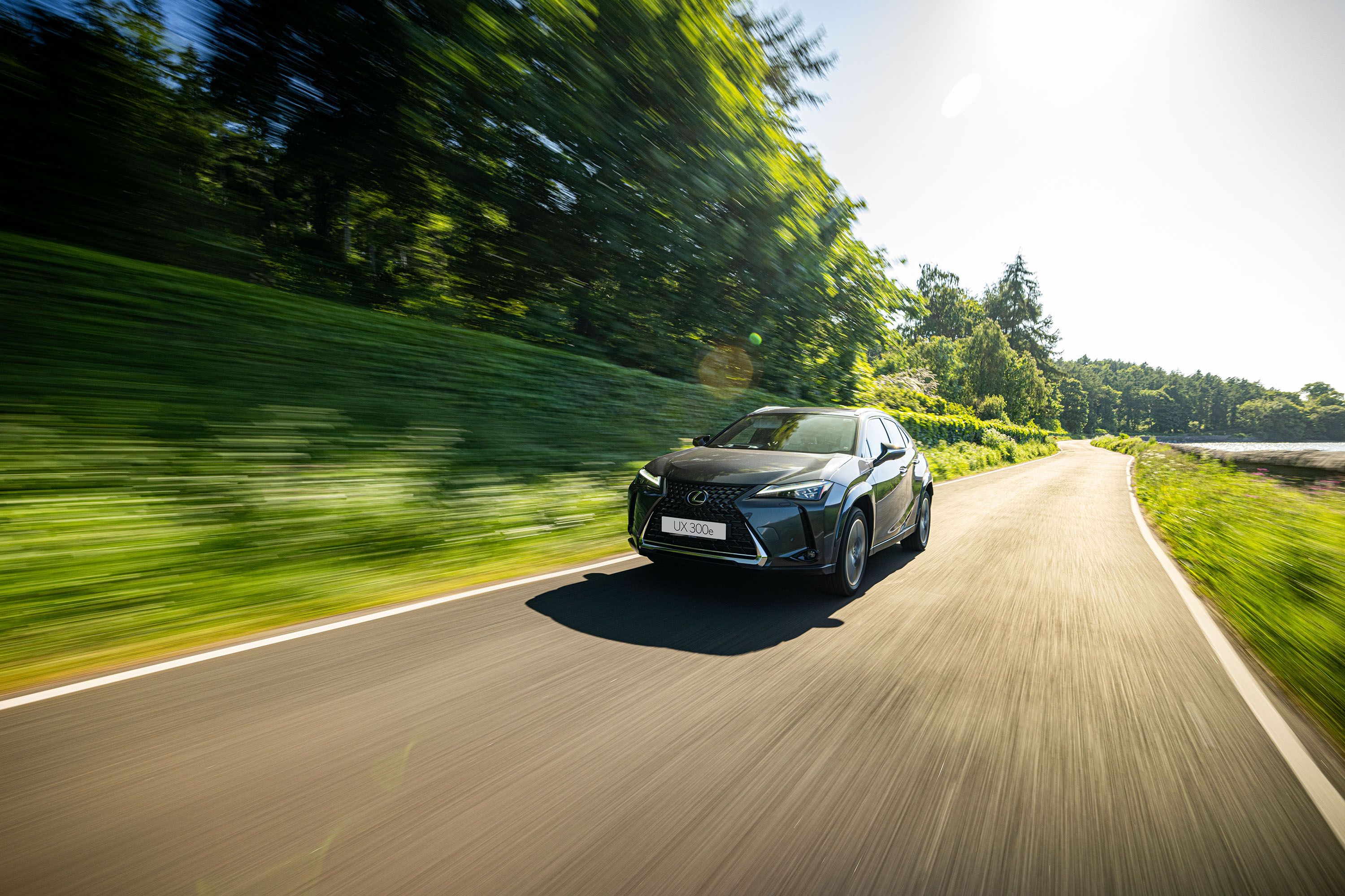 Lexus UX 300E (4)