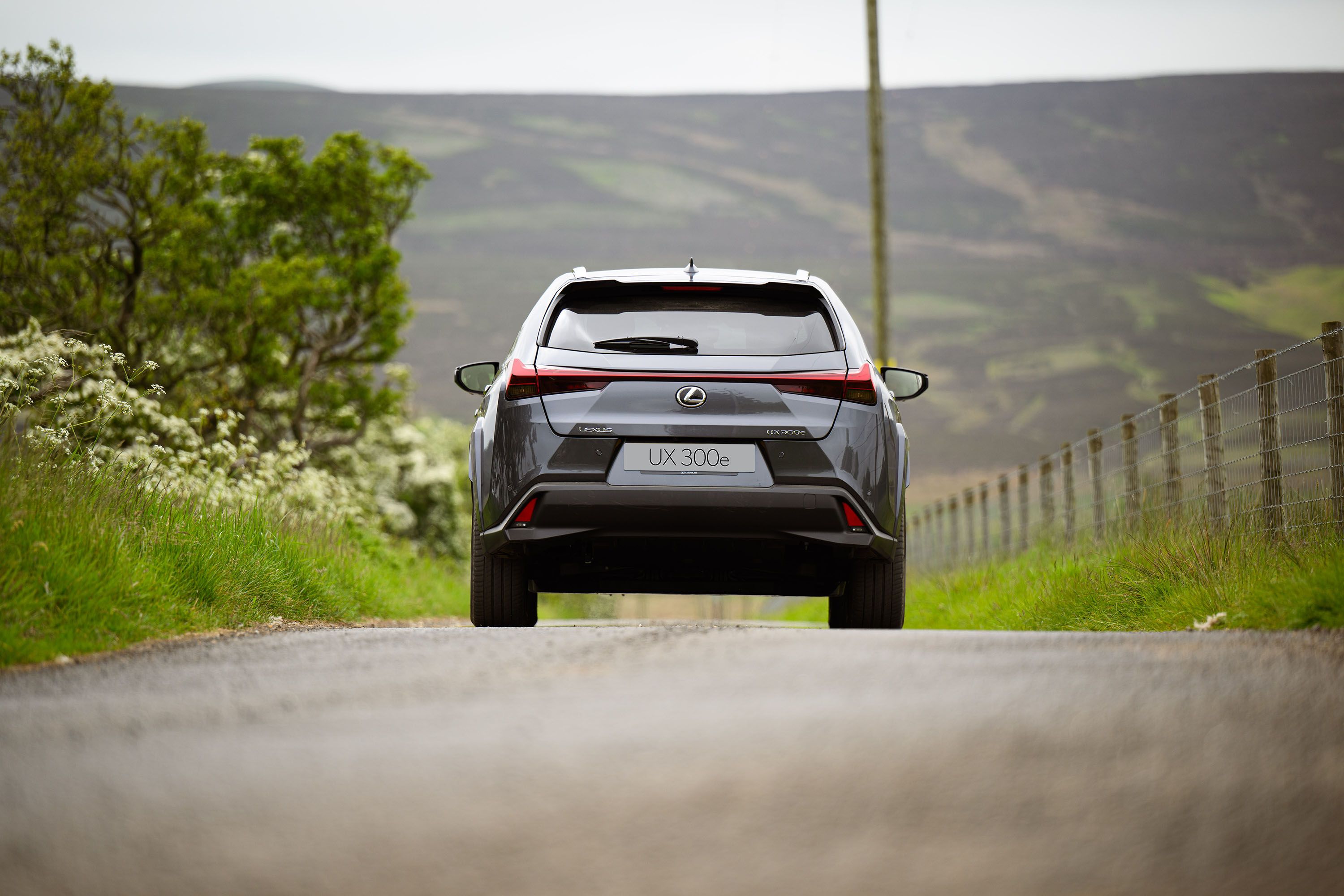 Lexus UX 300E (11)