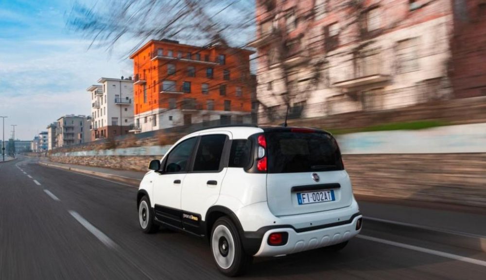 Fiat Pandina 2024