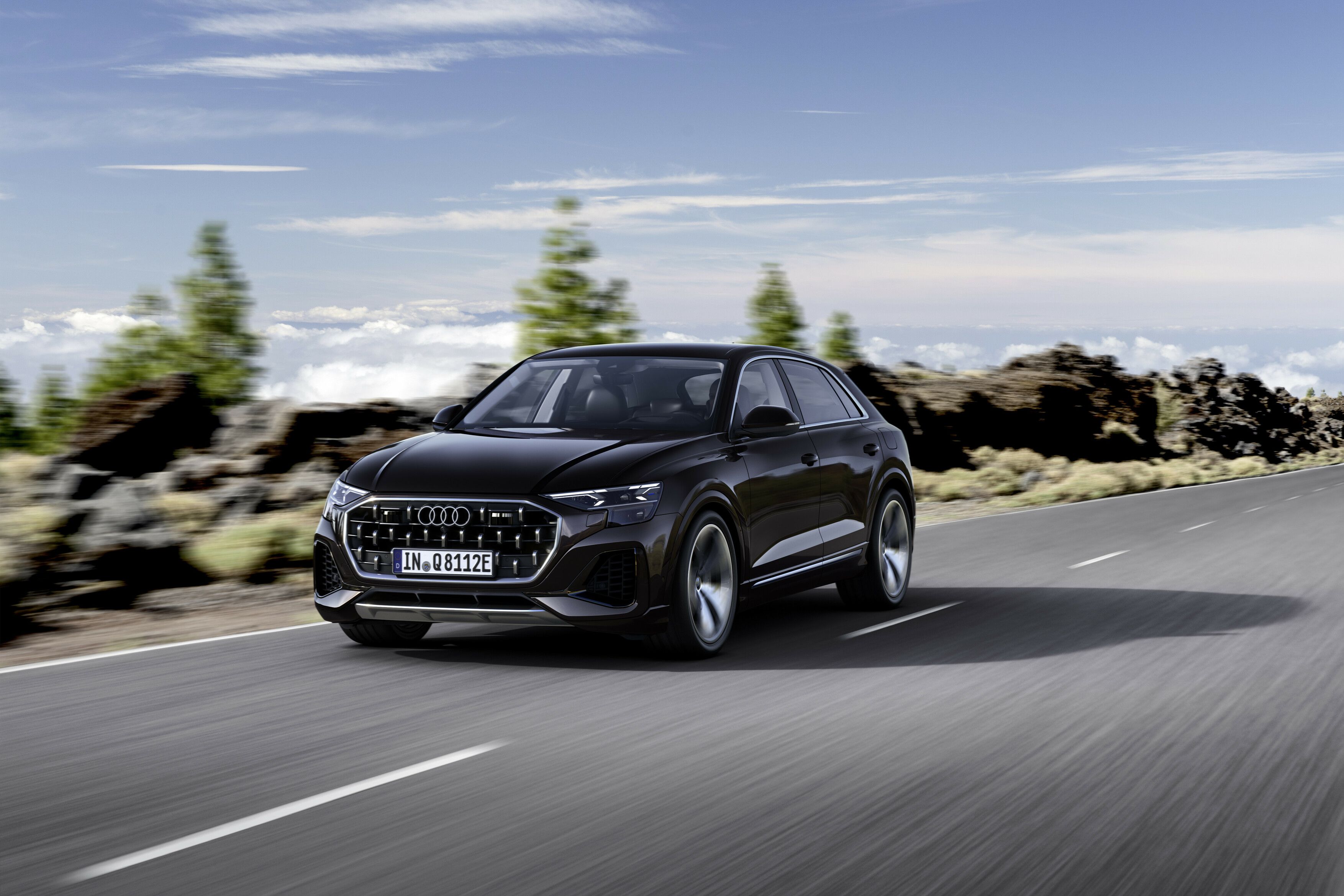 Audi Q8 TFSIe