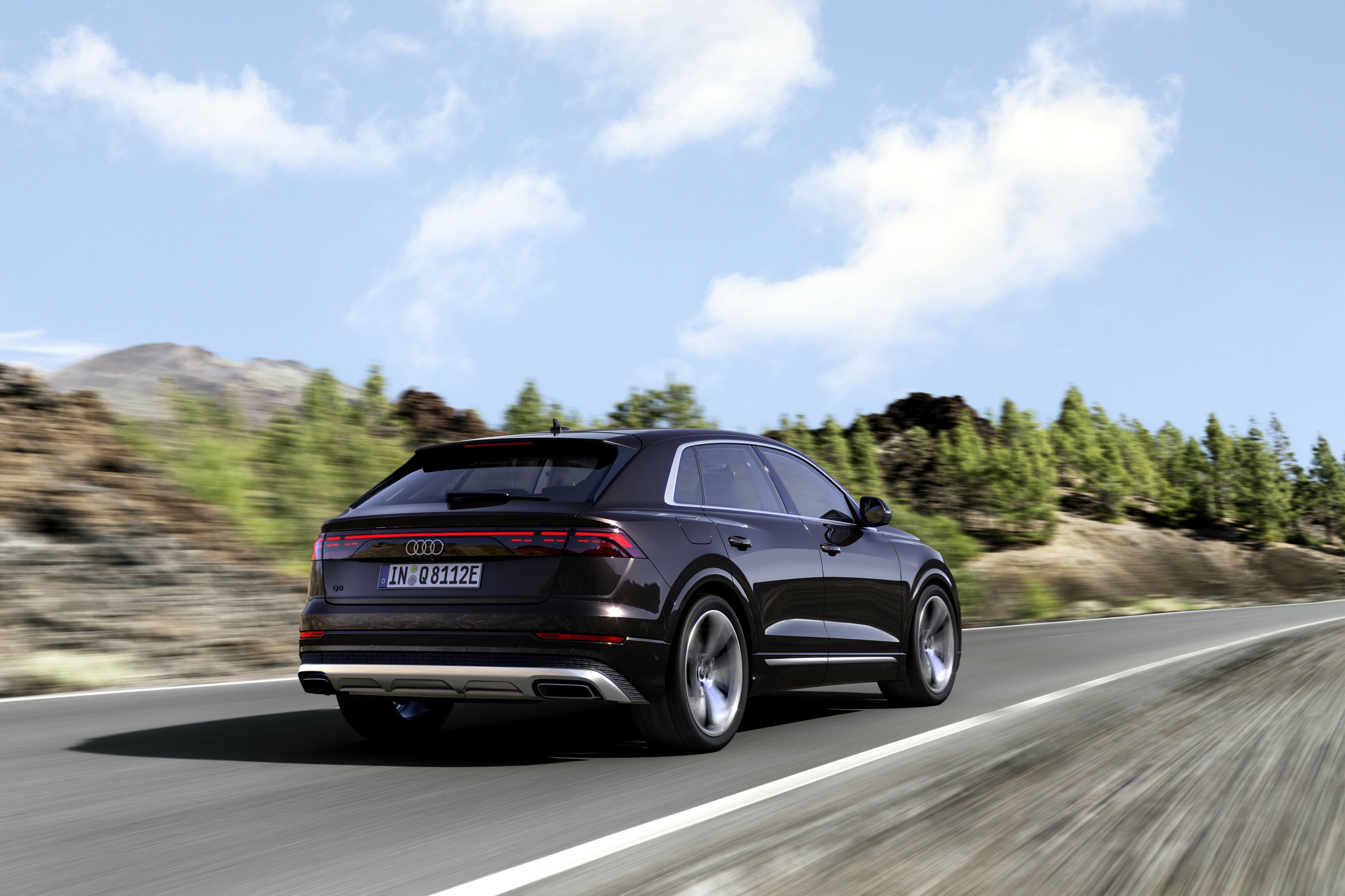 Audi Q8 TFSIe