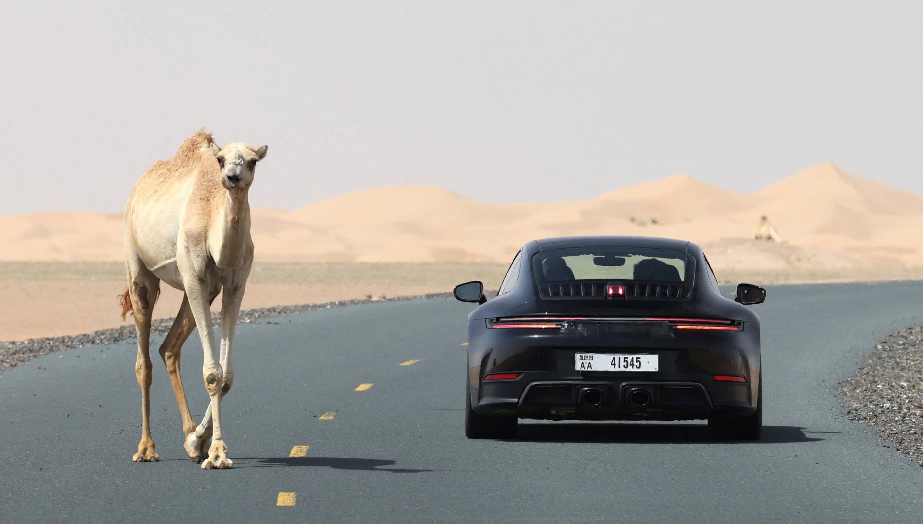 Esta noticia puede herir sensibilidades, pero el primer Porsche 911 híbrido está listo para su venta
