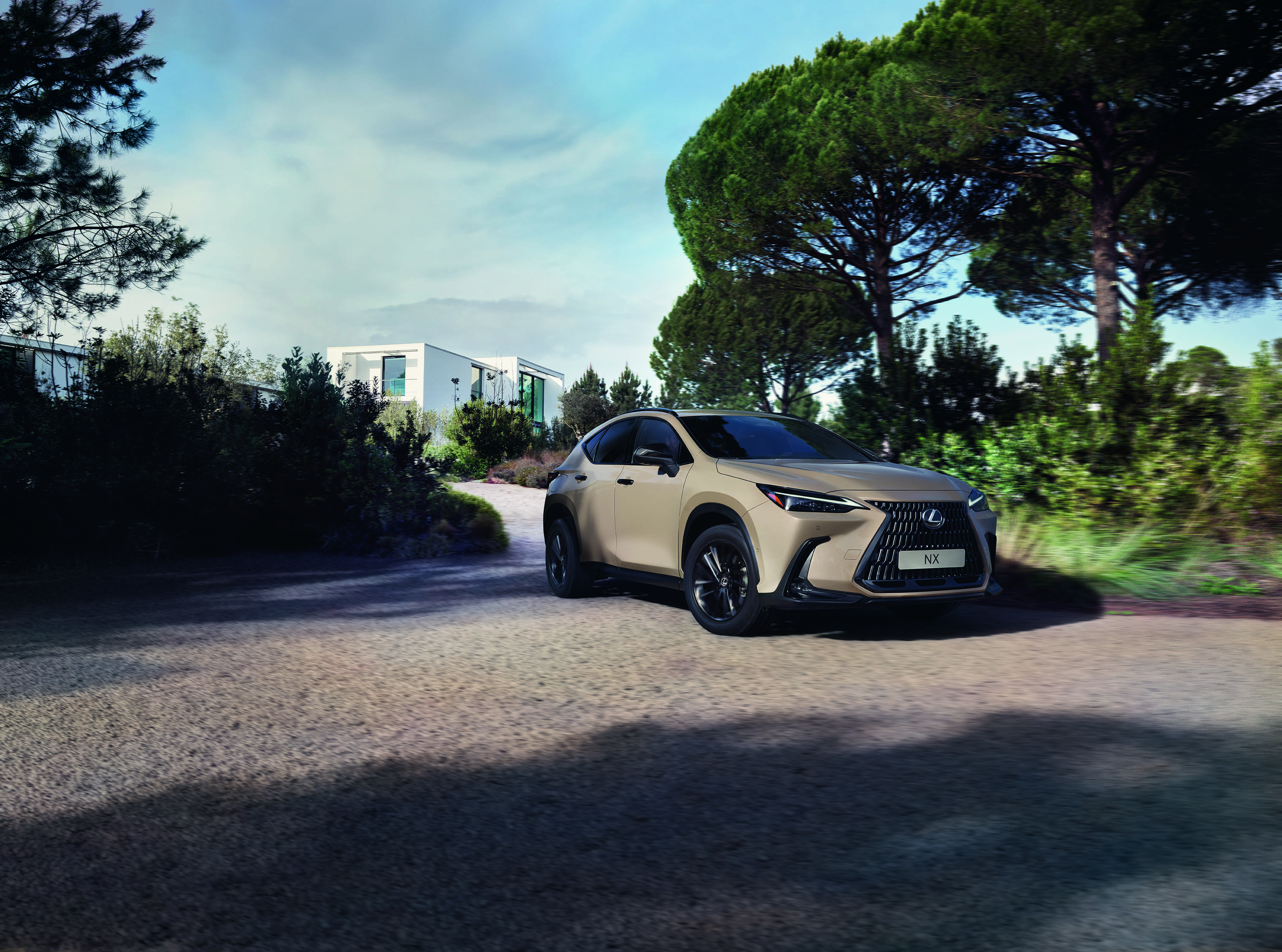 Lexus NX Overtrail