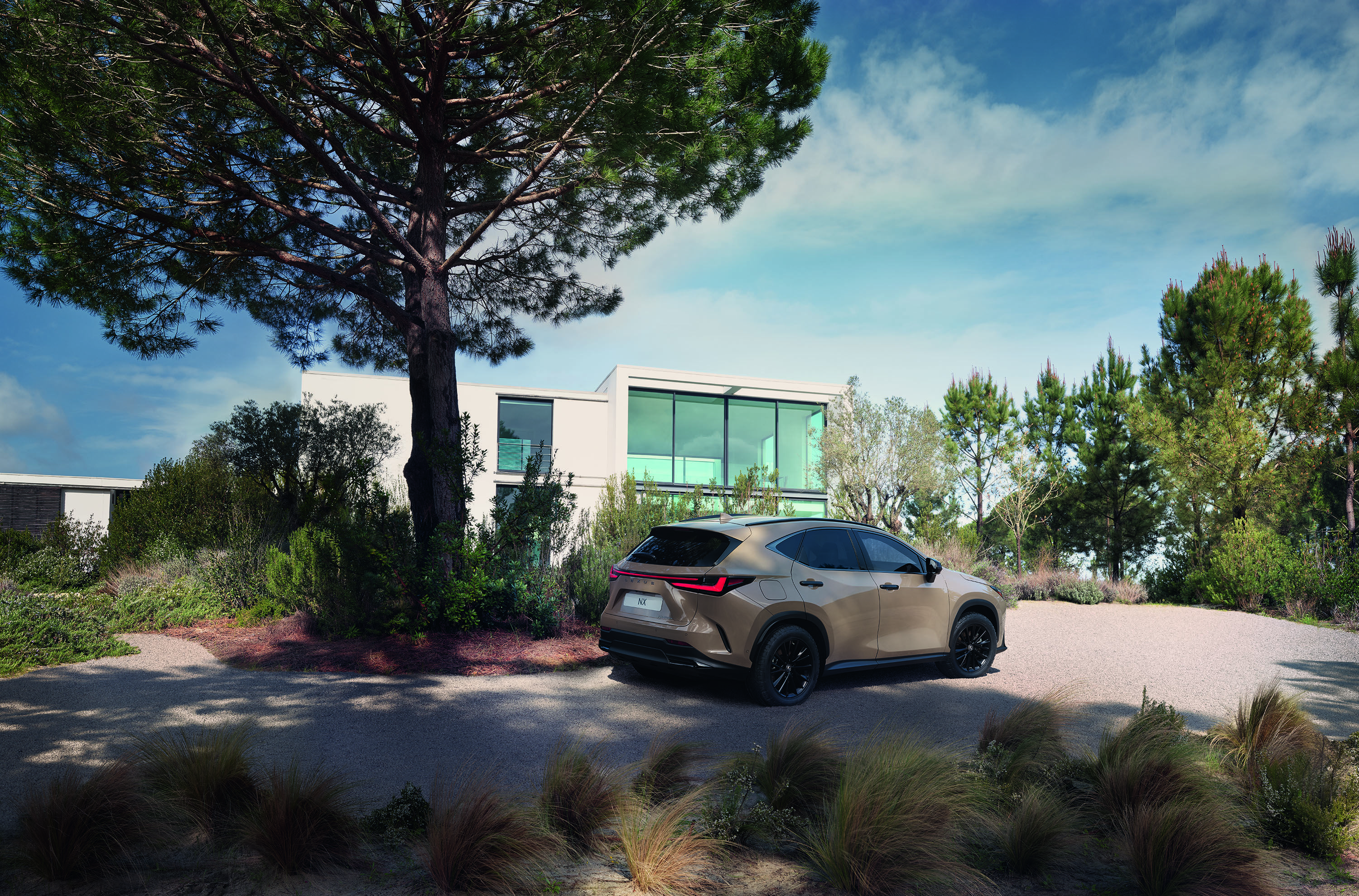Lexus NX Overtrail