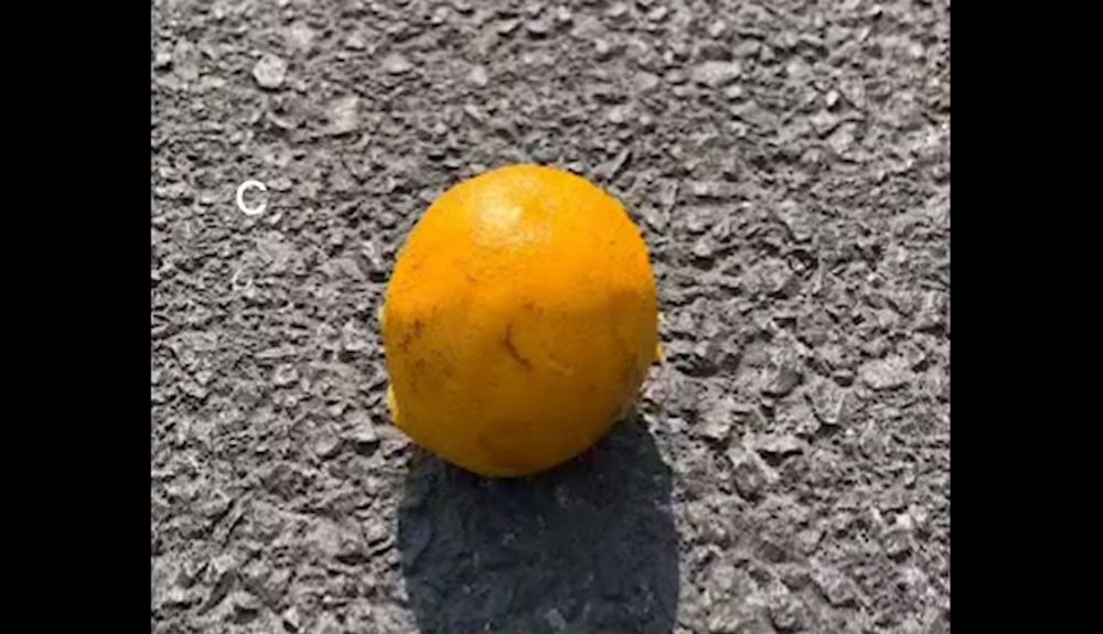 Cuidado si ves una naranja en la carretera, es el último truco para robarte el coche y así lo hacen