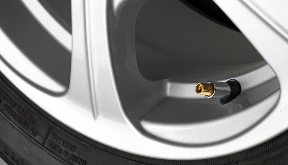 Válvula de neumático del coche