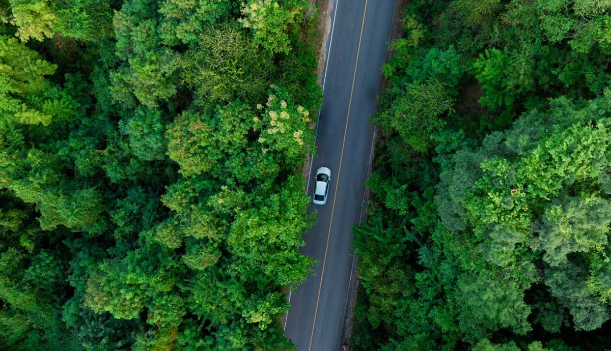 Cómo reducir la huella de carbono con el coche
