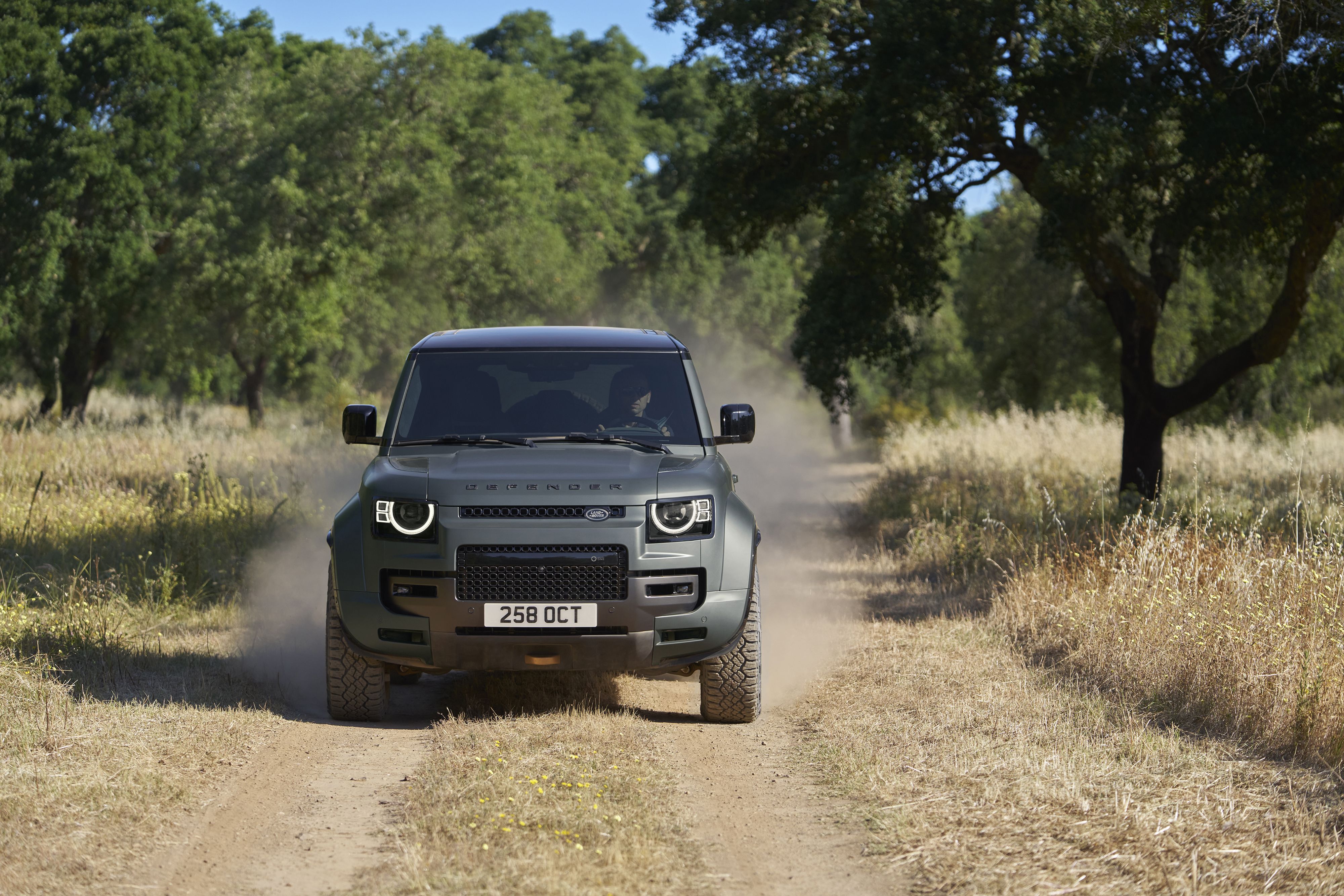 Defender OCTA