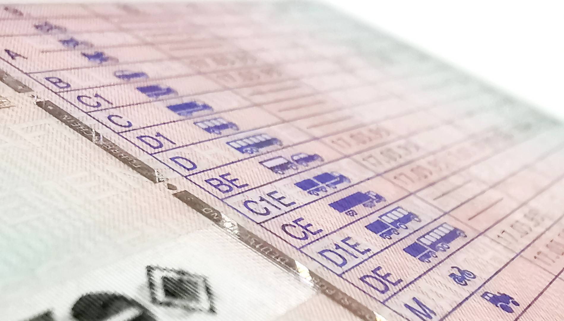 DGT no te cobrará las tasas en la renovación del carnet de conducir si cumples un sencillo requisito
