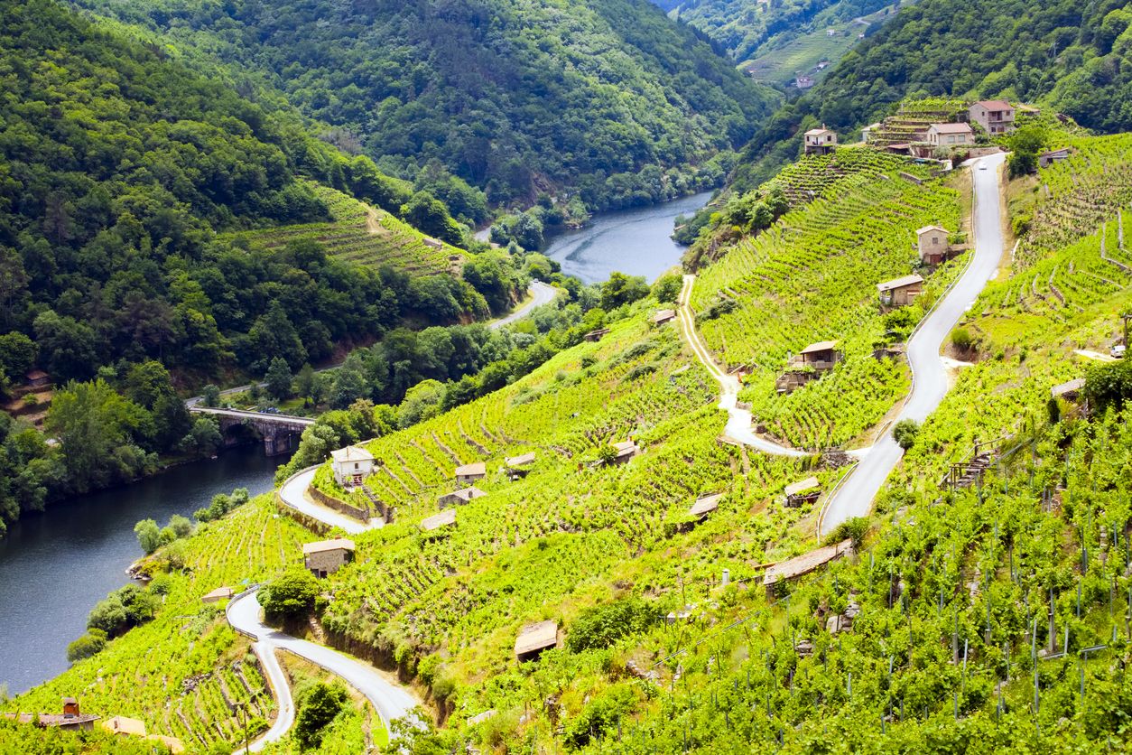 La Ribeira Sacra, en Galicia. Foto: iStock.