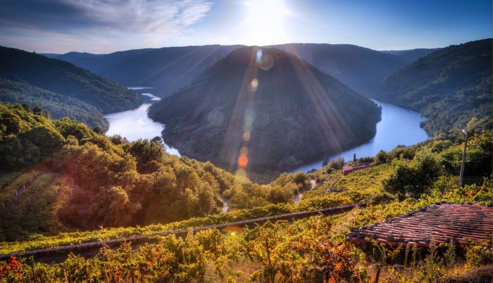 La Ribeira Sacra, en Galicia. Foto: iStock. La Ribeira Sacra, en Galicia. Foto: iStock.