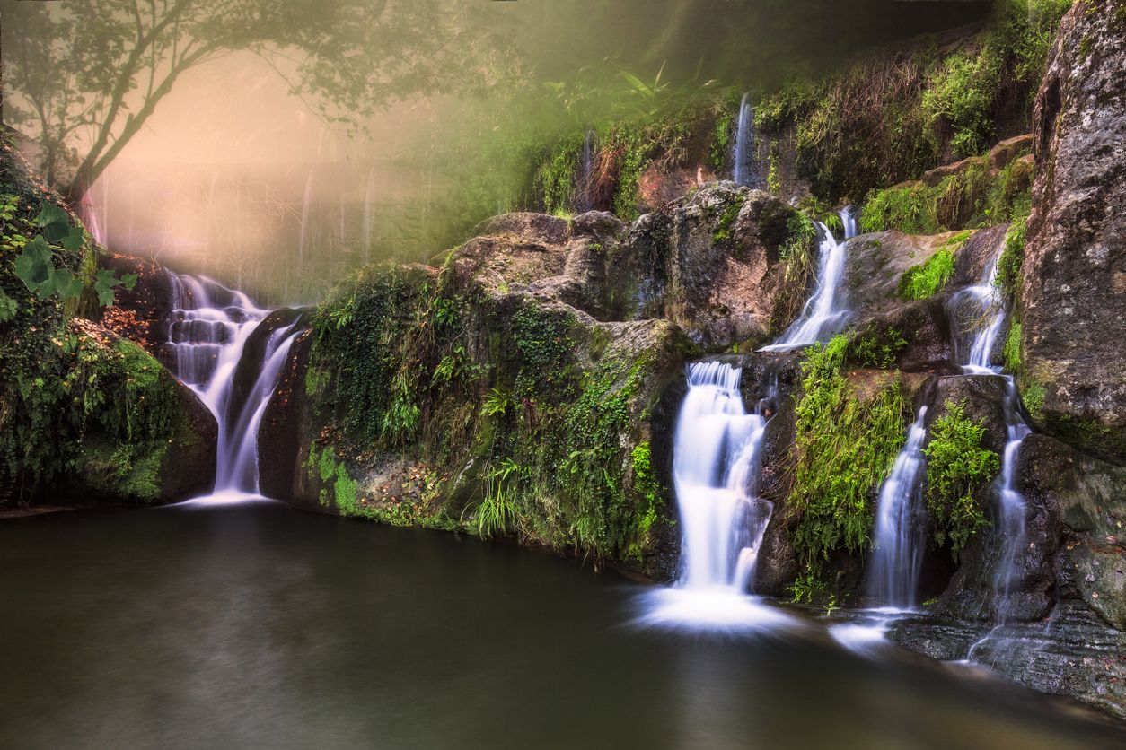 La Fageda d’en Jorda, en Girona. Foto: iStock.