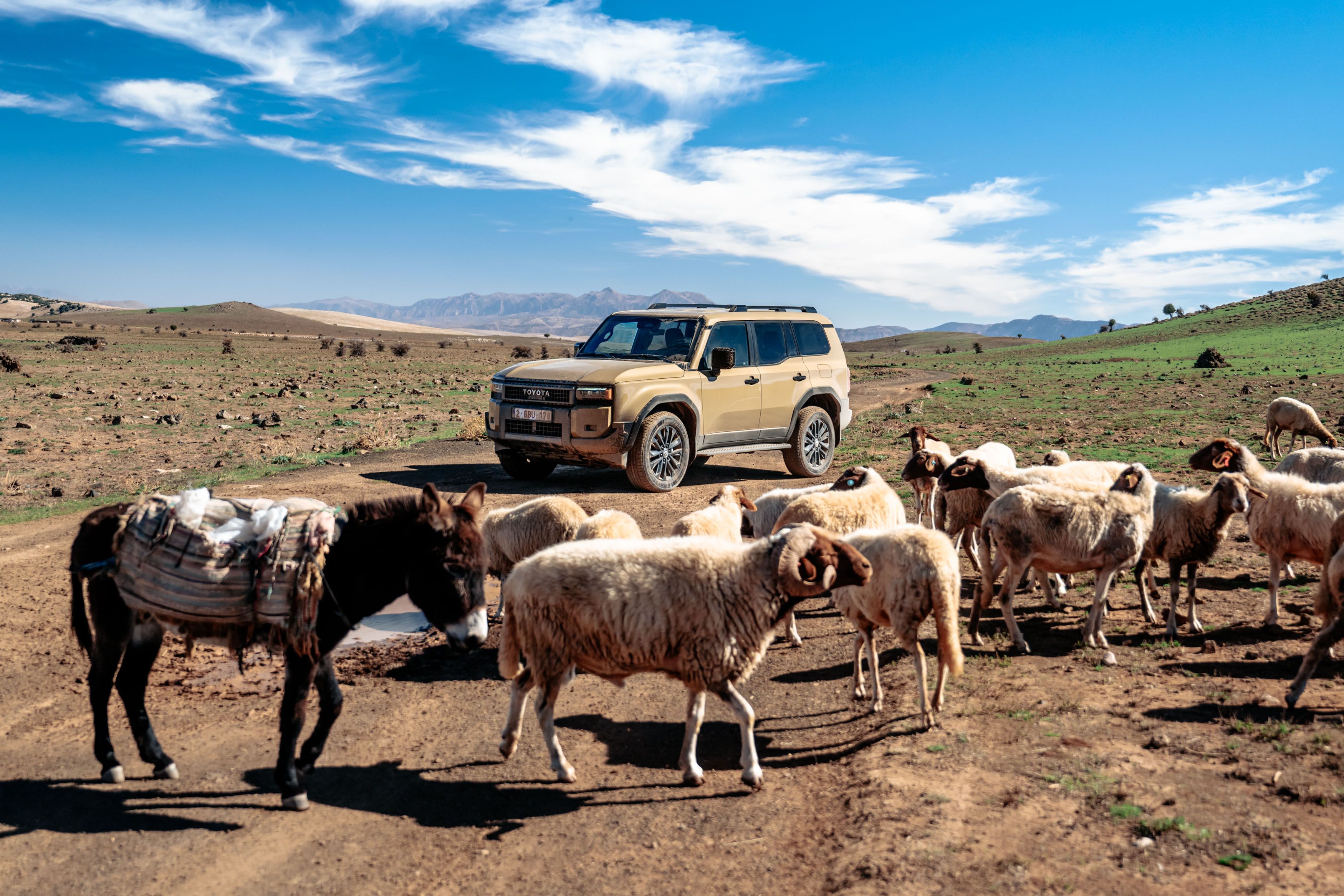 Prueba Toyota Land Cruiser